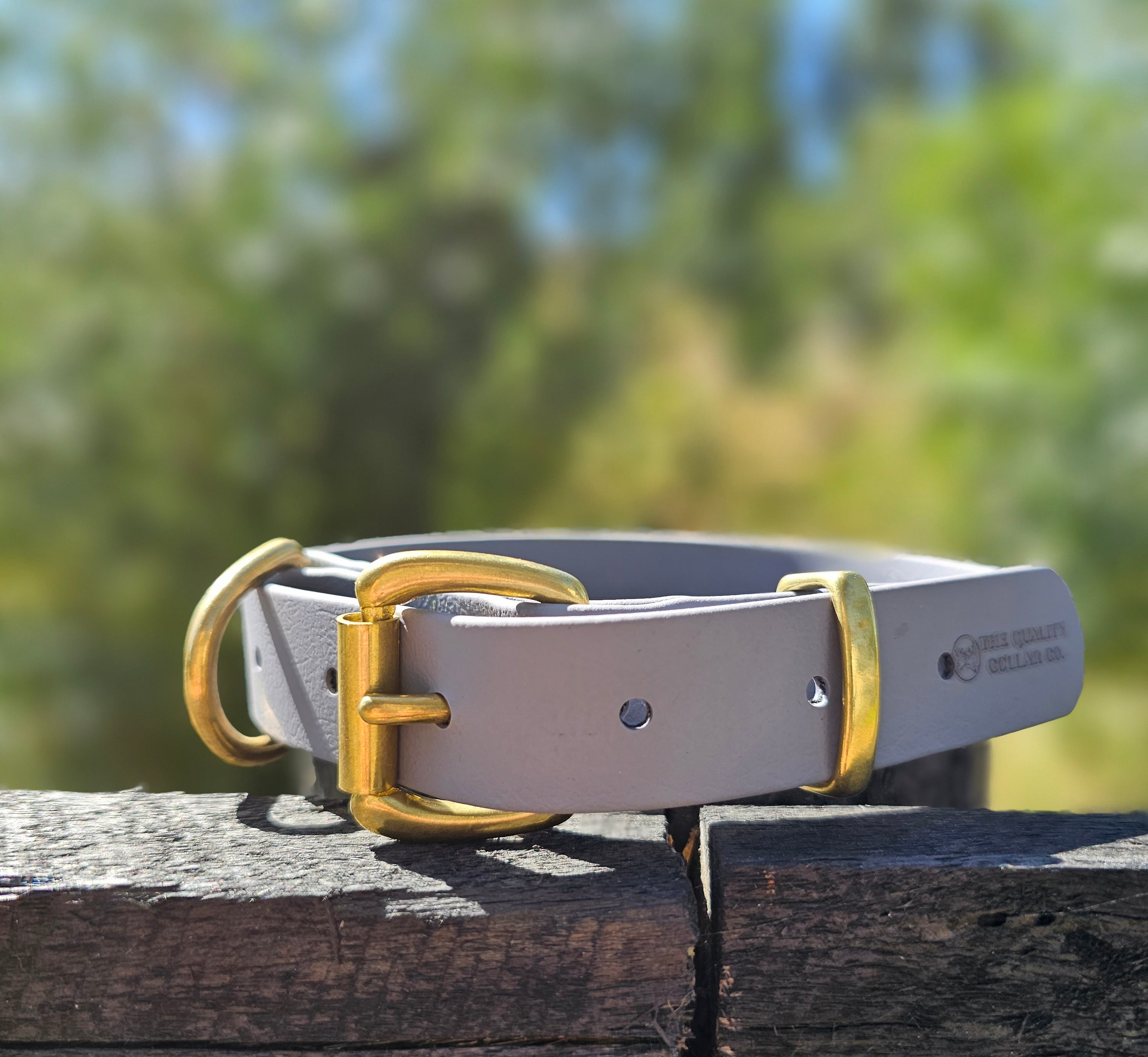 Working dog style flat collar with Brass Hardware 1 Inch Width