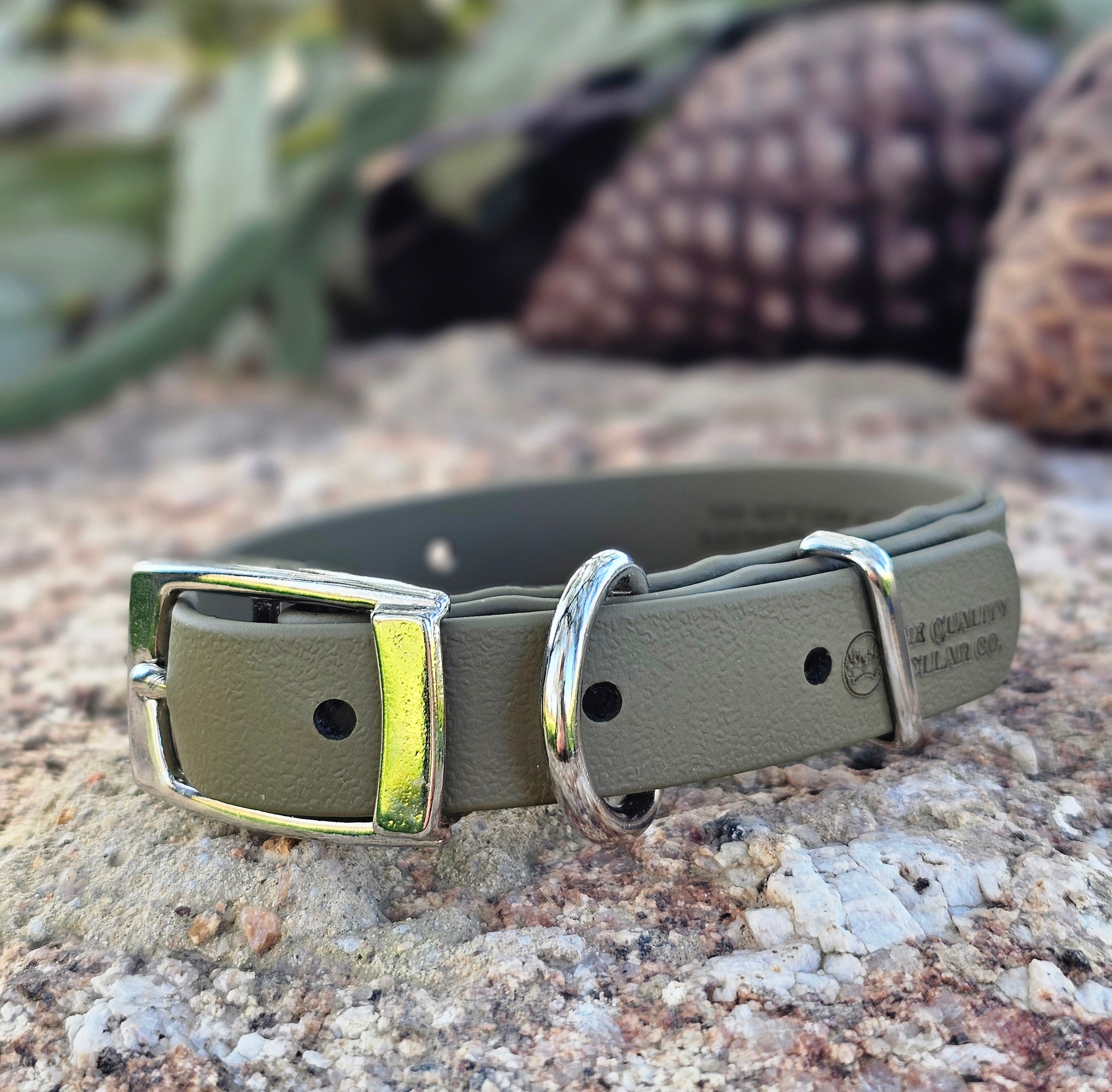 Puppy & Small Dog Collar
