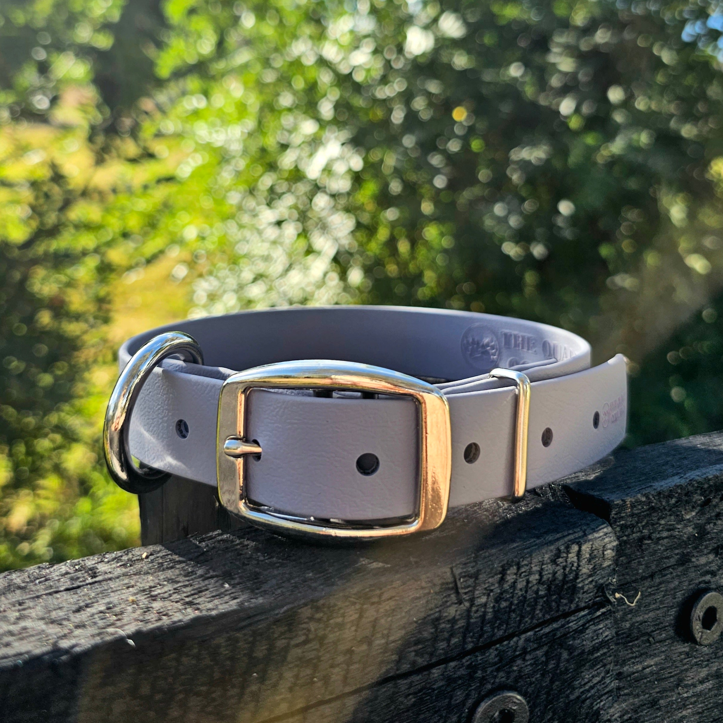 Working dog style flat collar 1 Inch Width