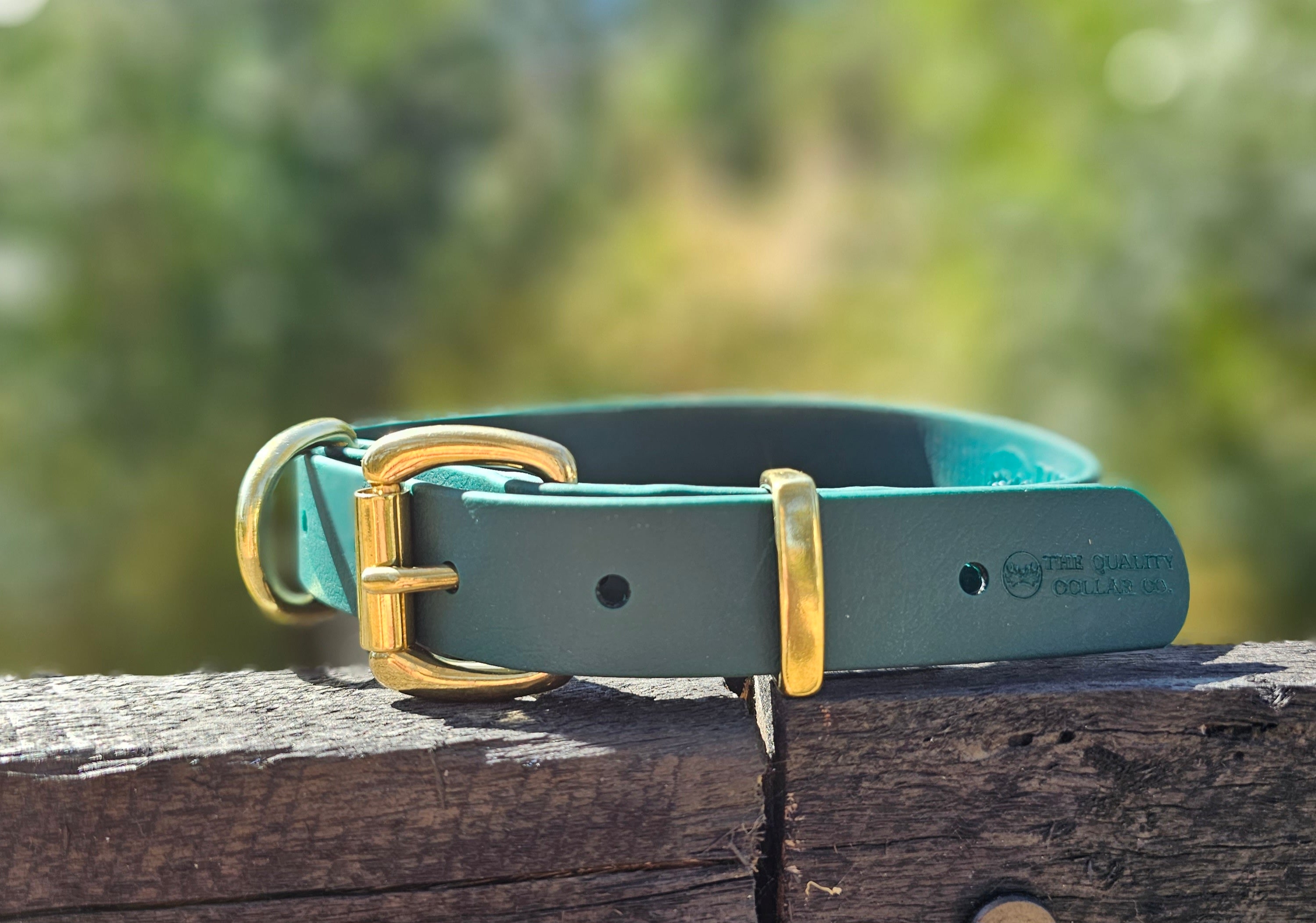 Working dog style flat collar with Brass Hardware 1 Inch Width