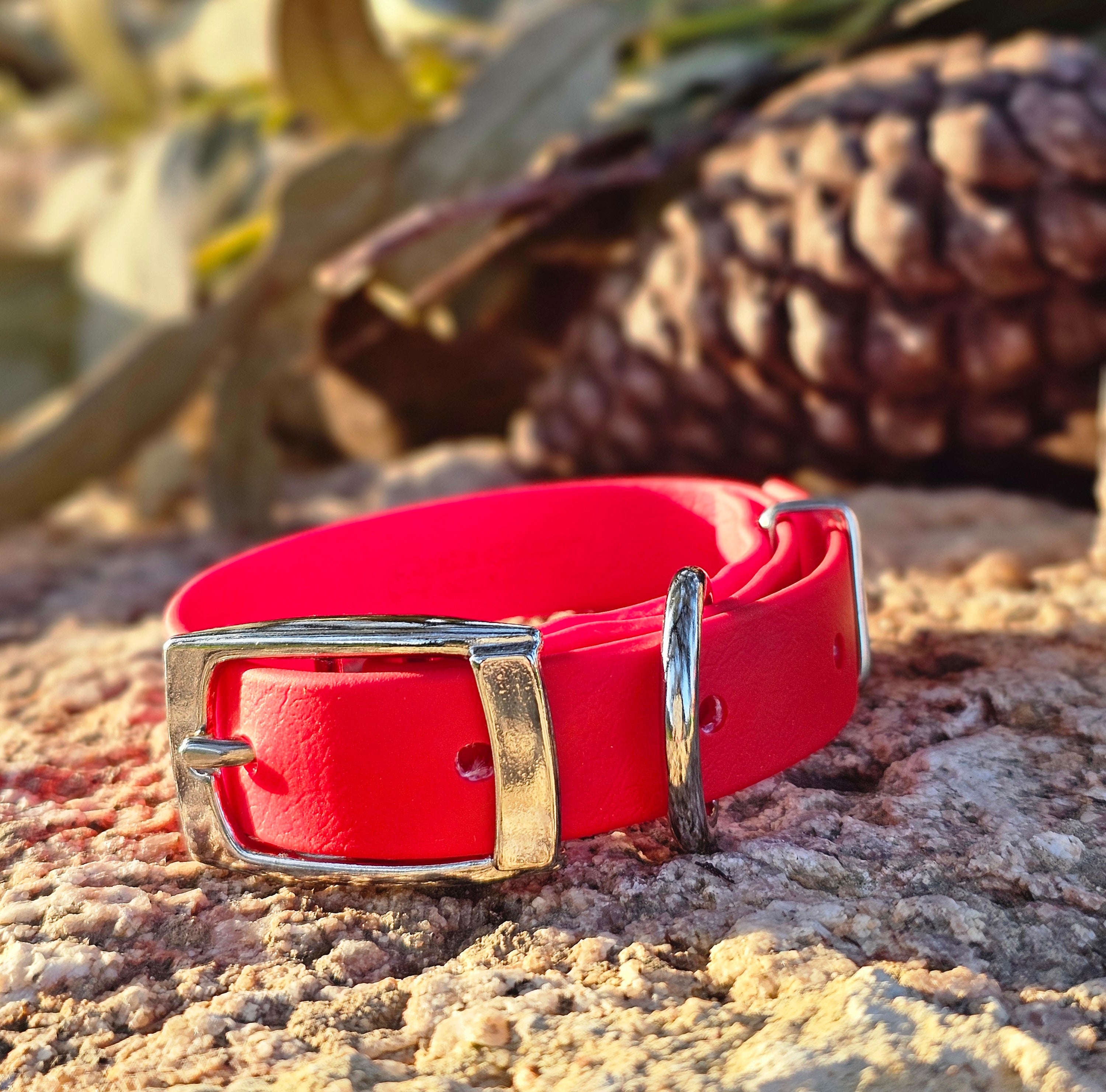 Puppy & Small Dog Collar