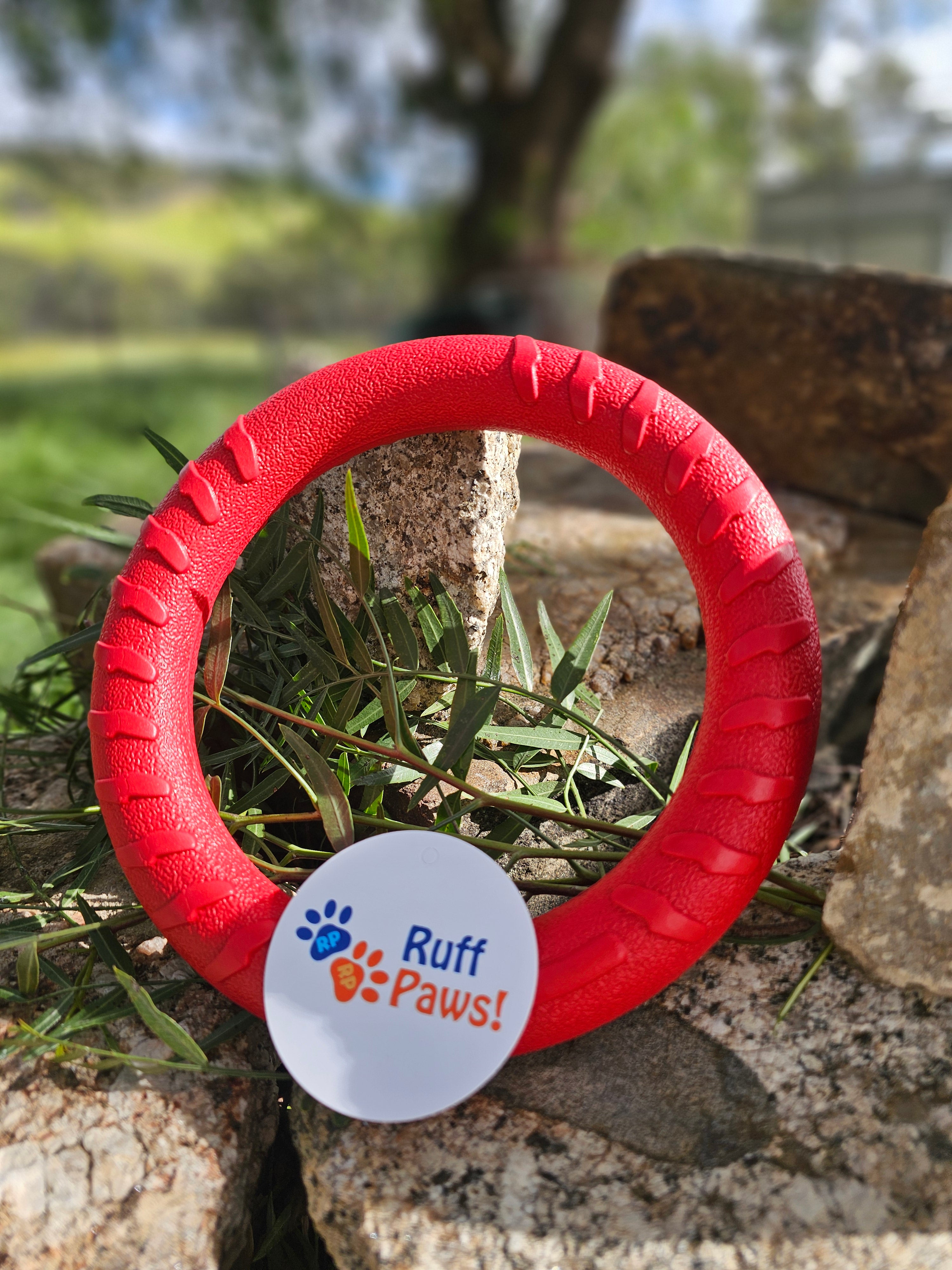 FoamRing by Ruff-Paws!