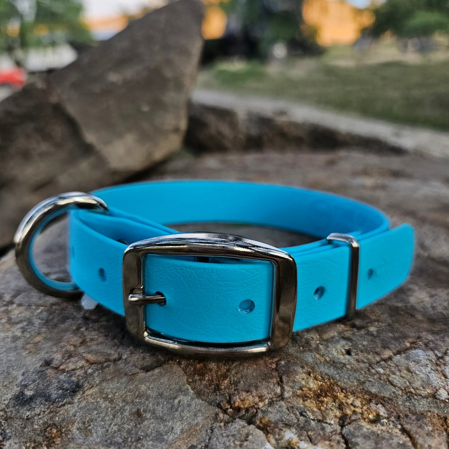 Working dog style flat collar 1 Inch Width
