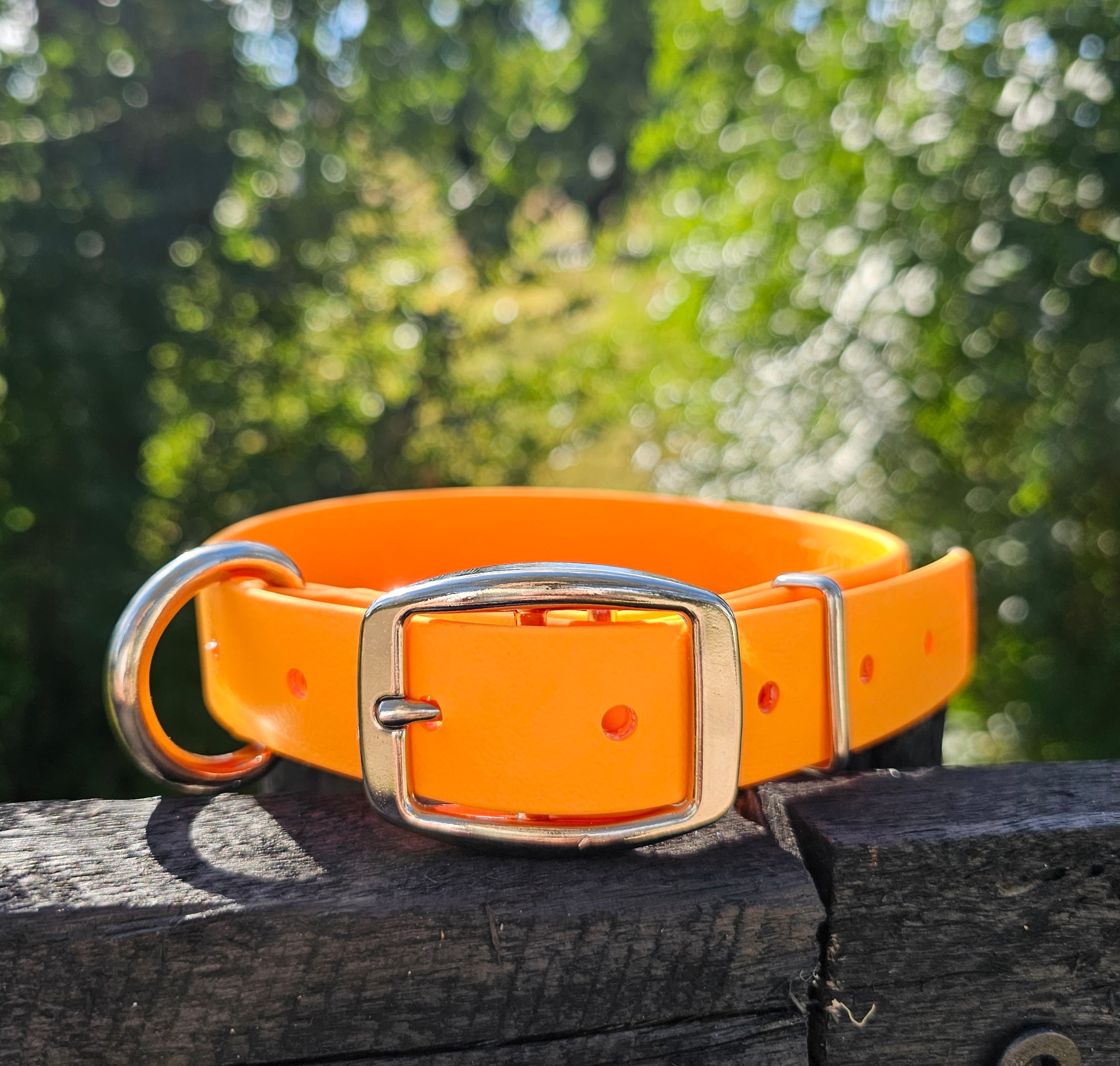 Working dog style flat collar 1 Inch Width