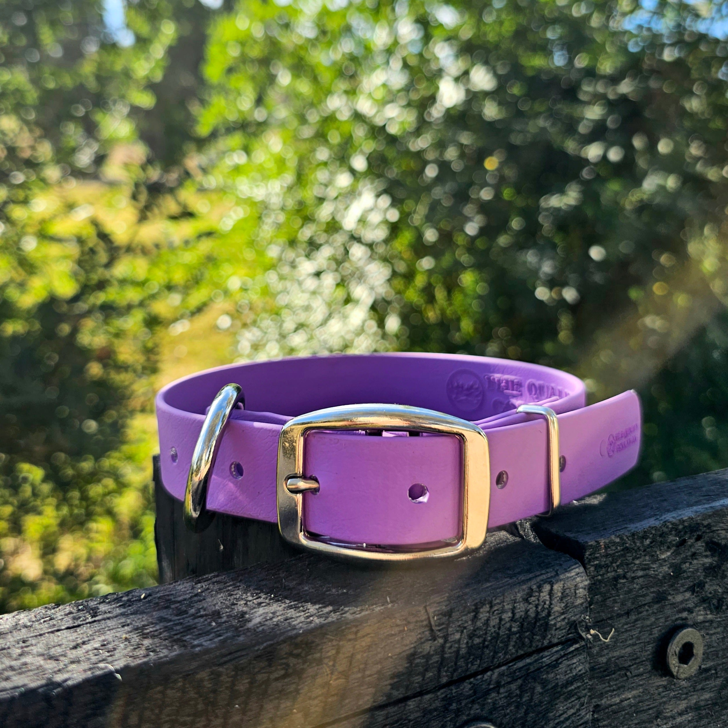 Working dog style flat collar 1 Inch Width