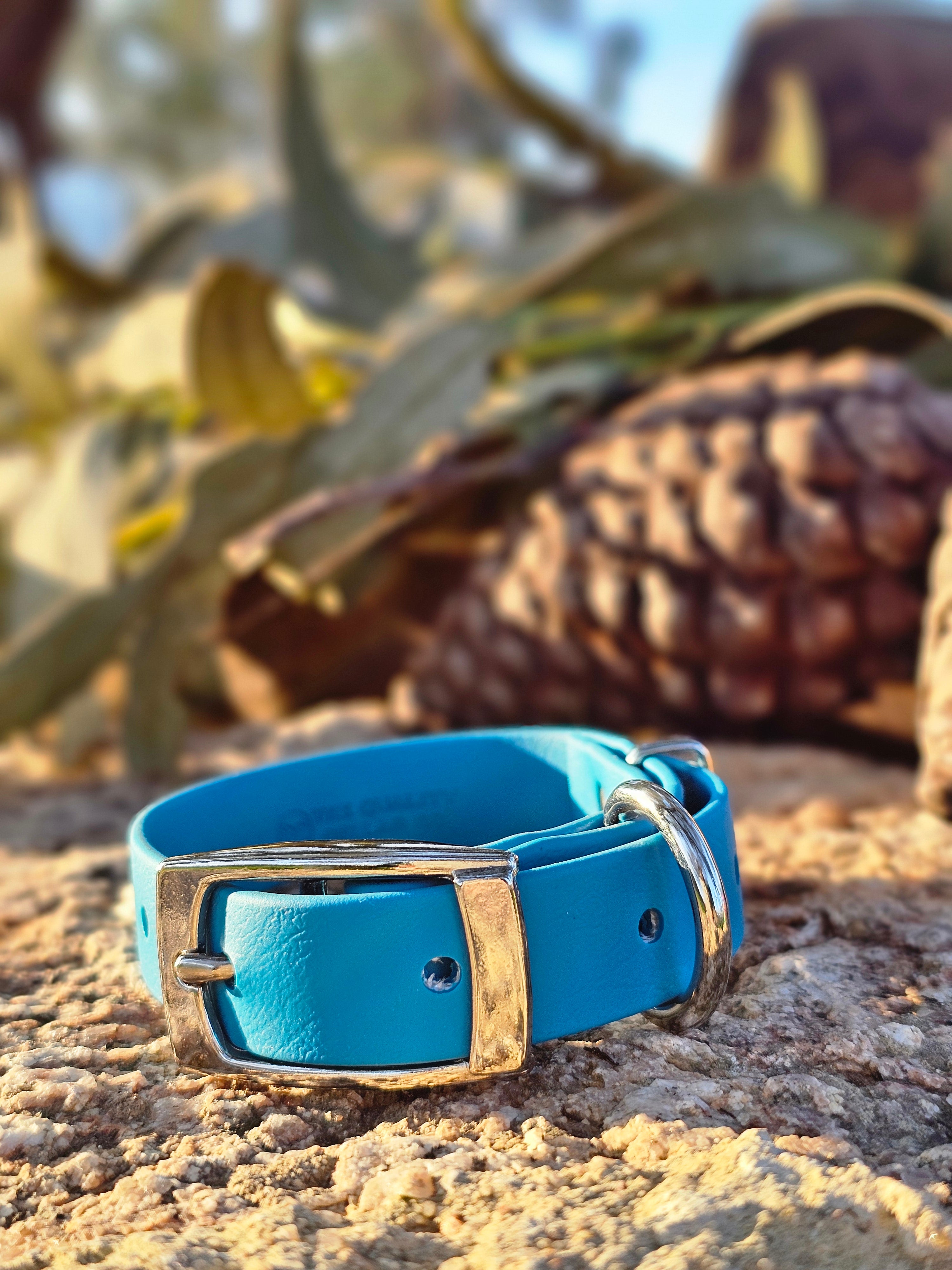 Puppy & Small Dog Collar