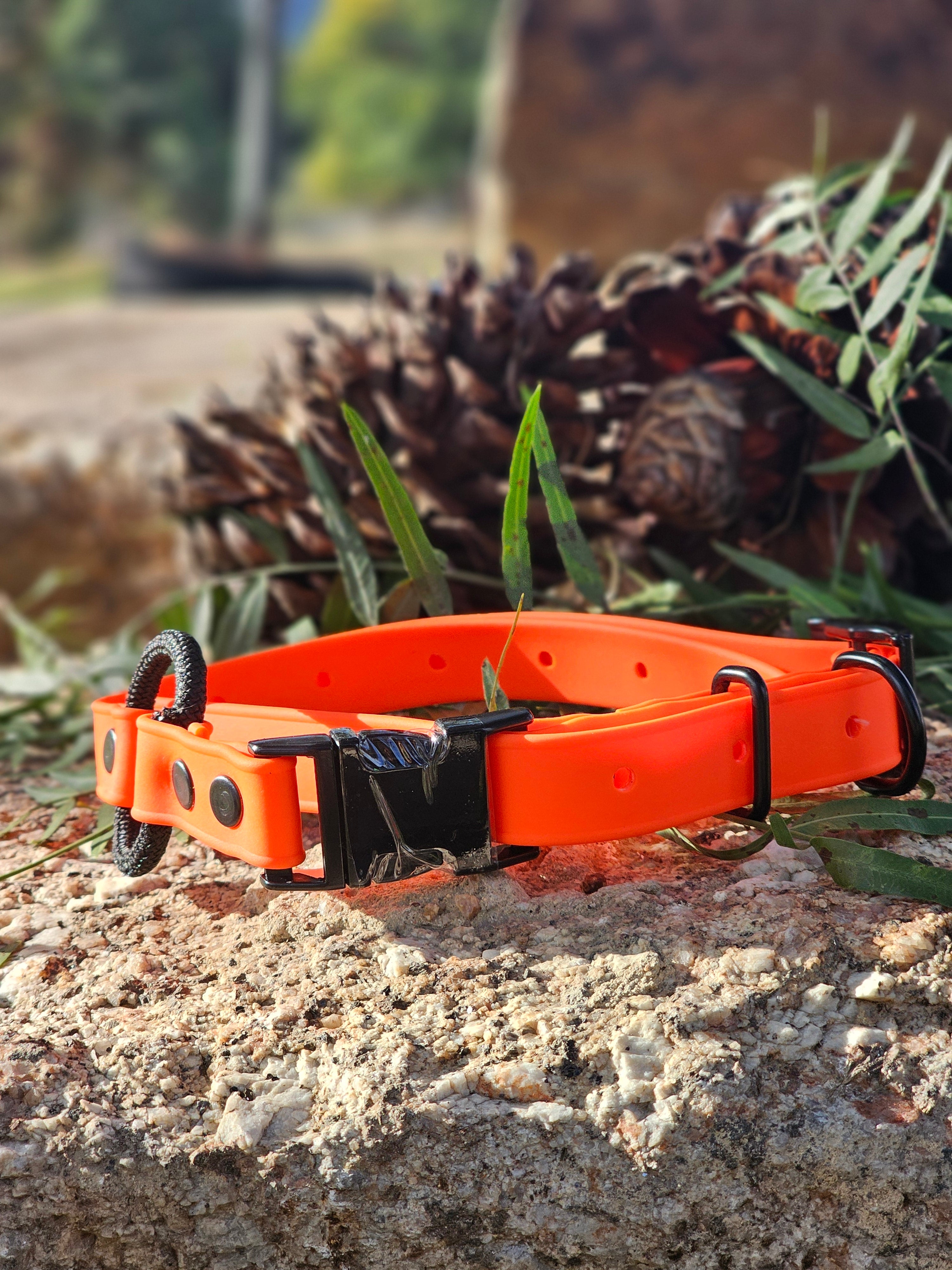 Ecollar quick release bungee strap