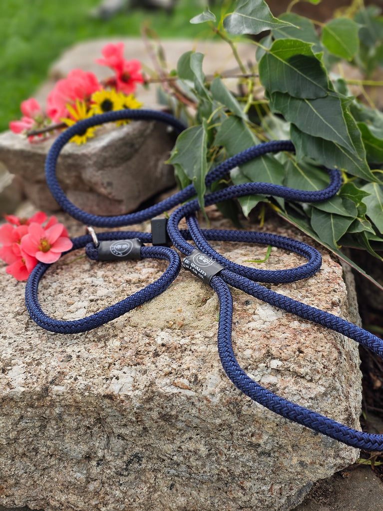 Spring '23 Colour Range Slip Leash – The Quality Collar Co.