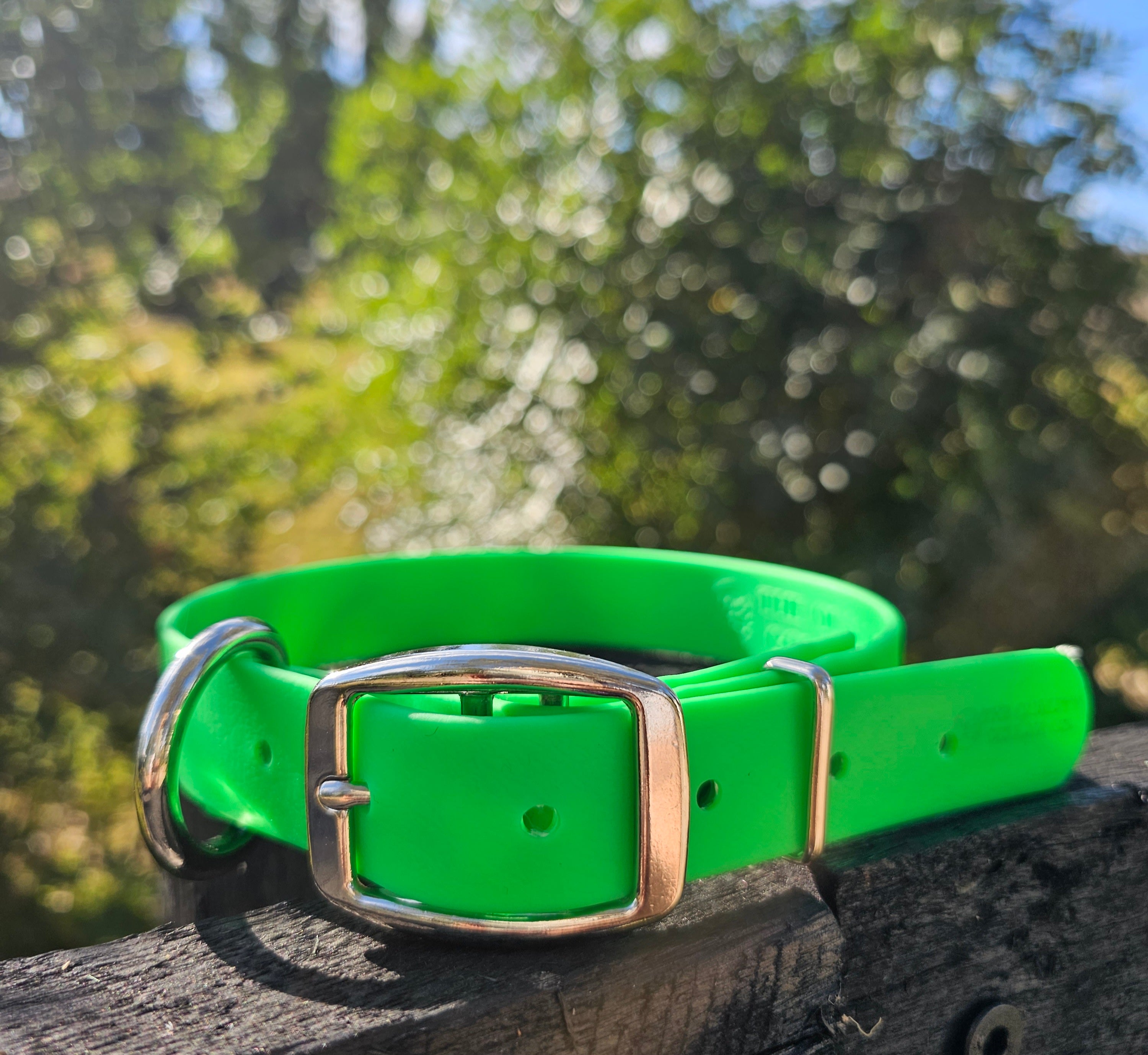 Working dog style flat collar 1 Inch Width