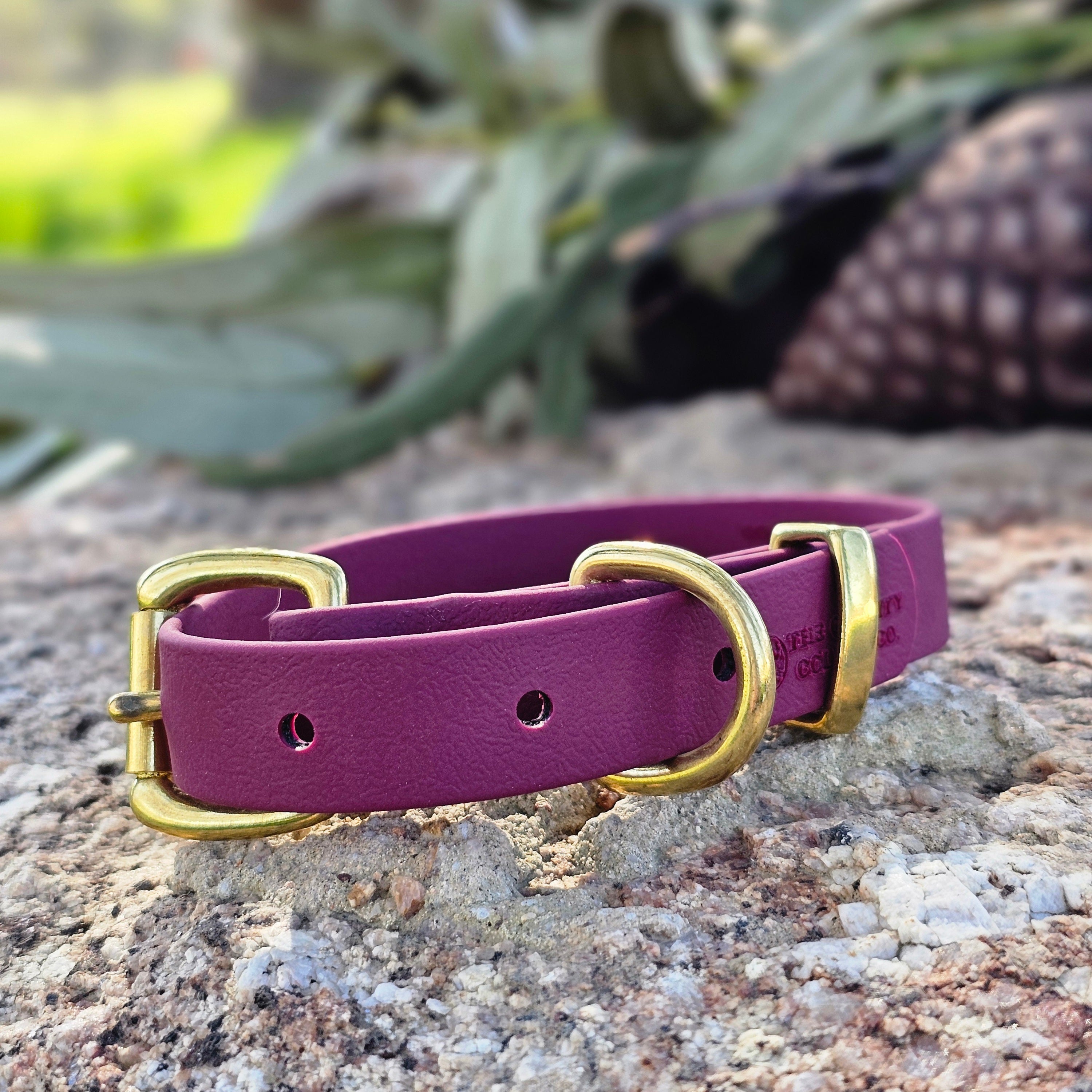 Puppy & Small Dog Collar