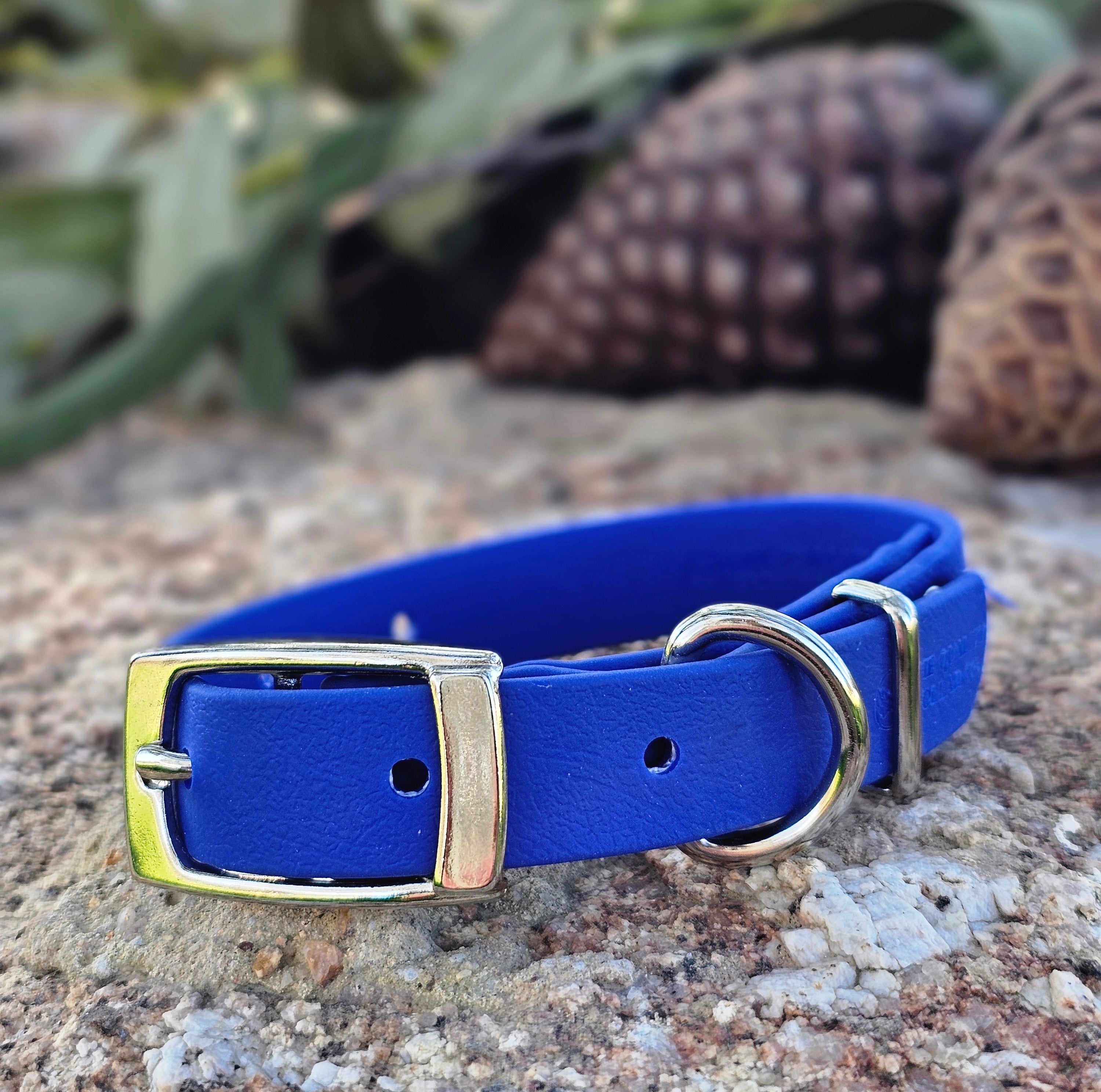 Puppy & Small Dog Collar