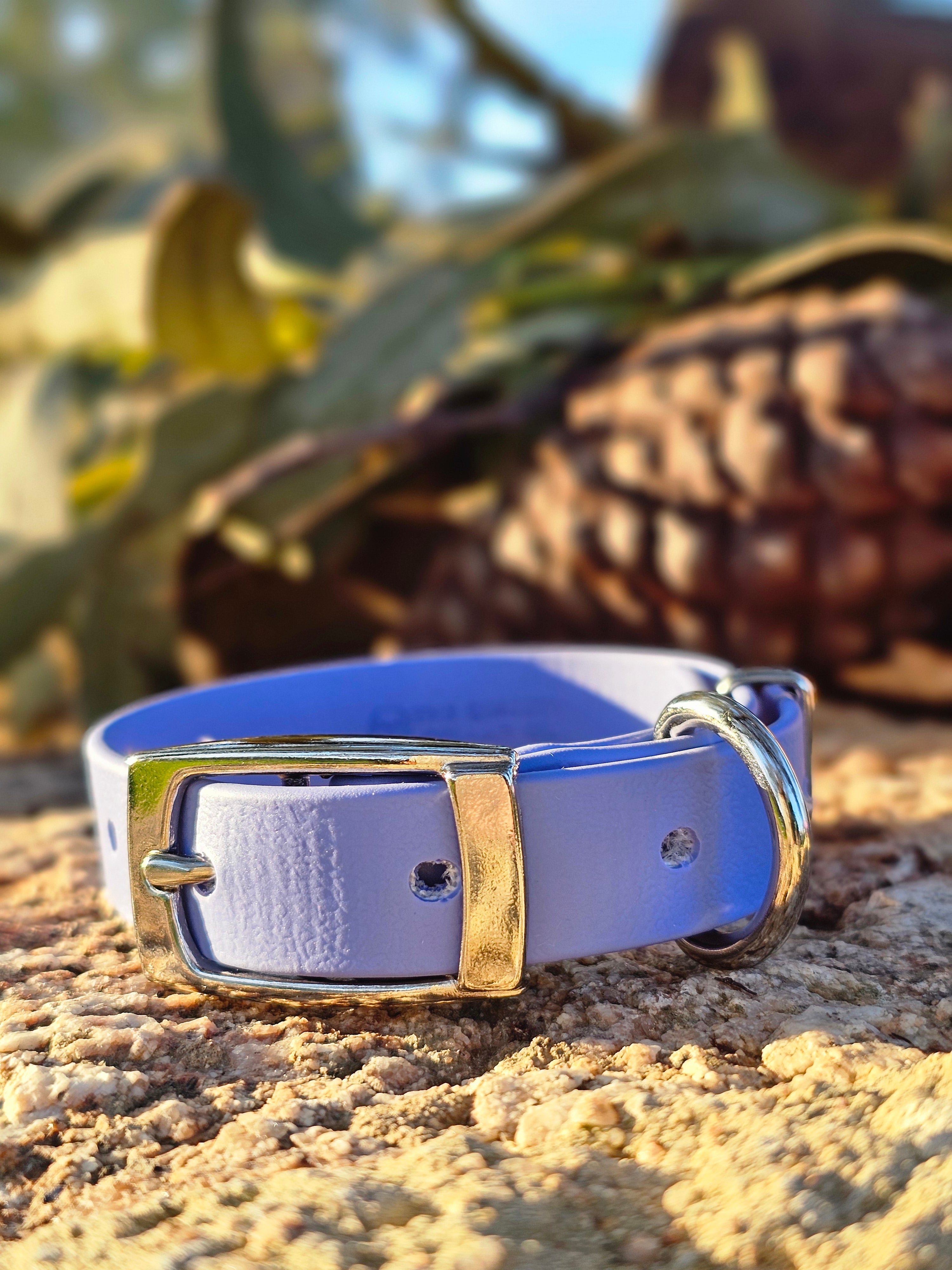 Puppy & Small Dog Collar