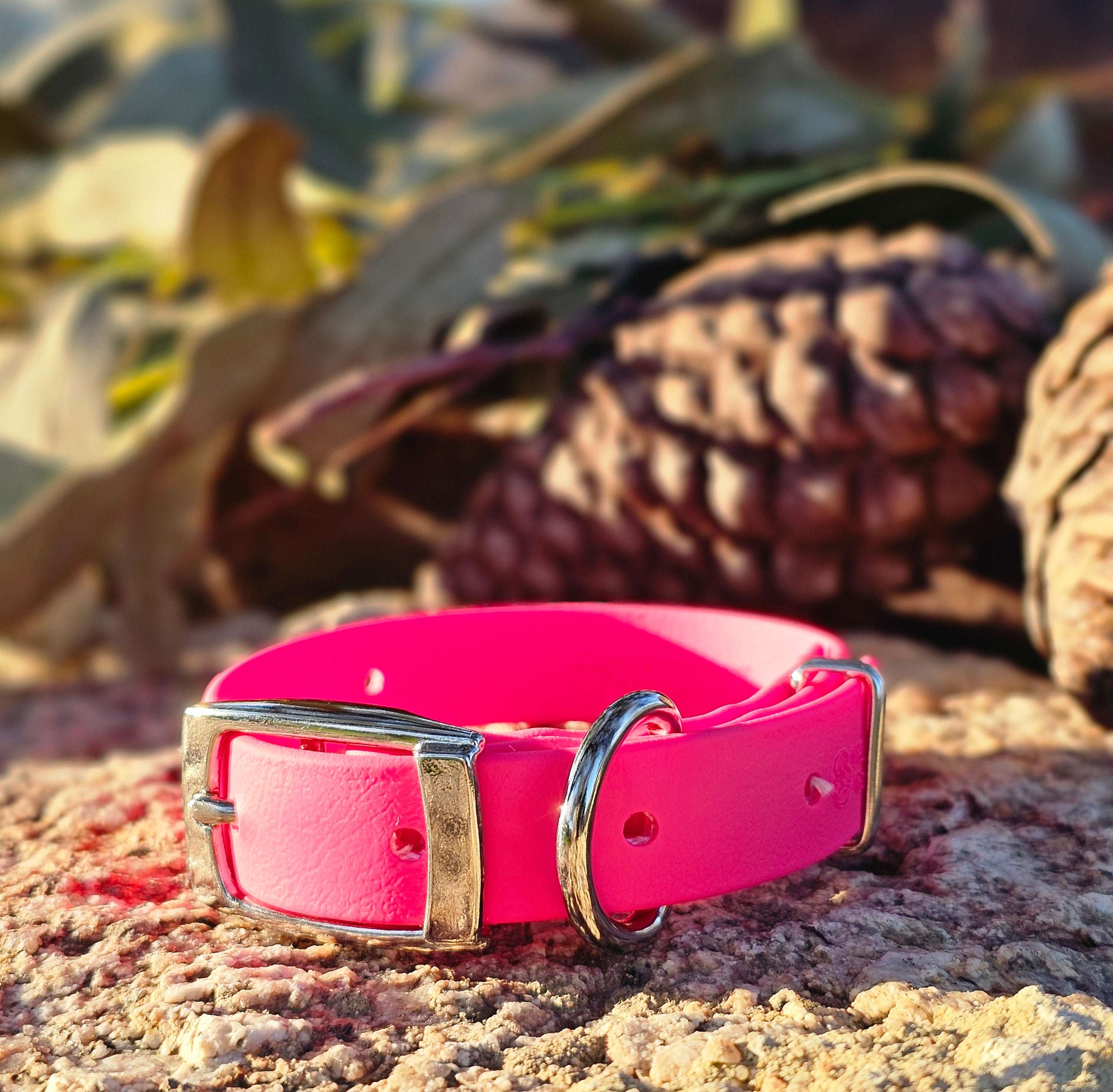 Puppy & Small Dog Collar