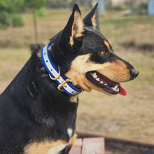 Load image into Gallery viewer, Hi-Viz Working dog style flat collar with Brass Hardware (1”/25mm Width)
