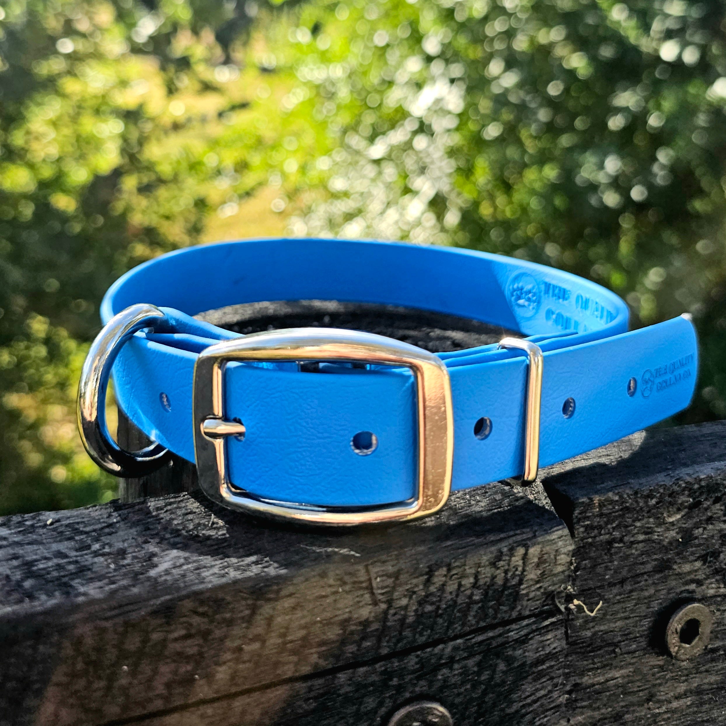 Working dog style flat collar 1 Inch Width