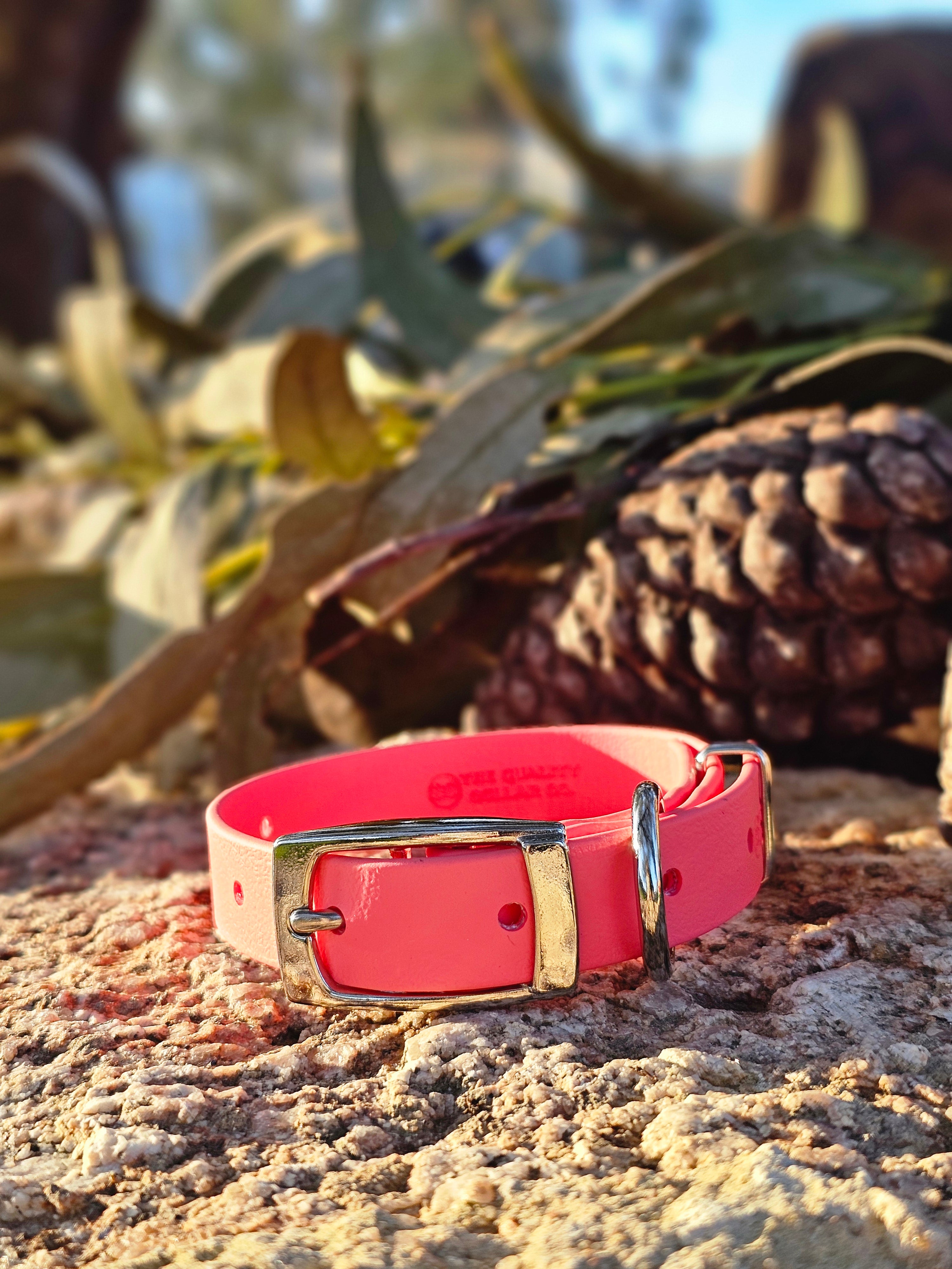 Puppy & Small Dog Collar
