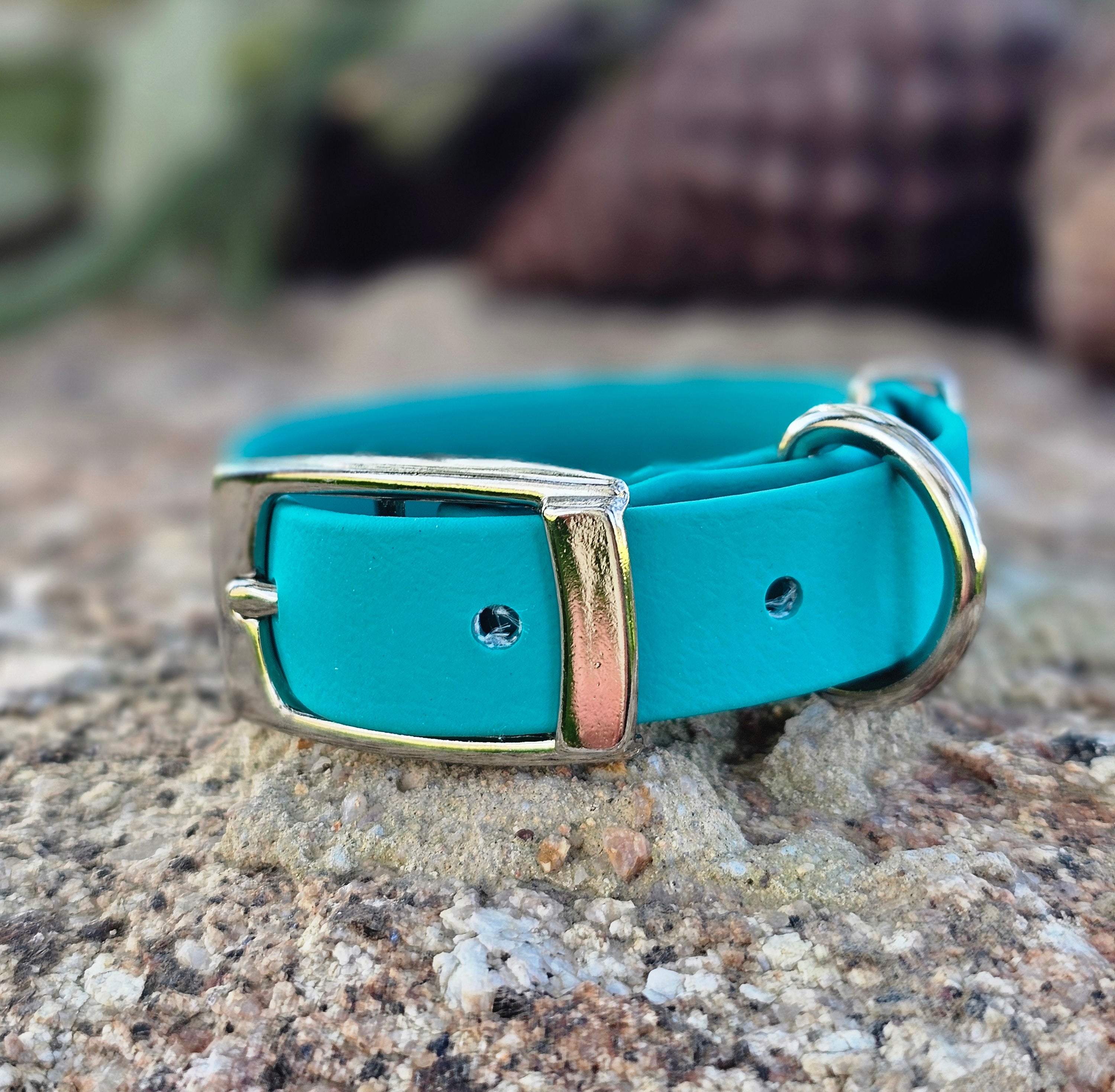 Puppy & Small Dog Collar