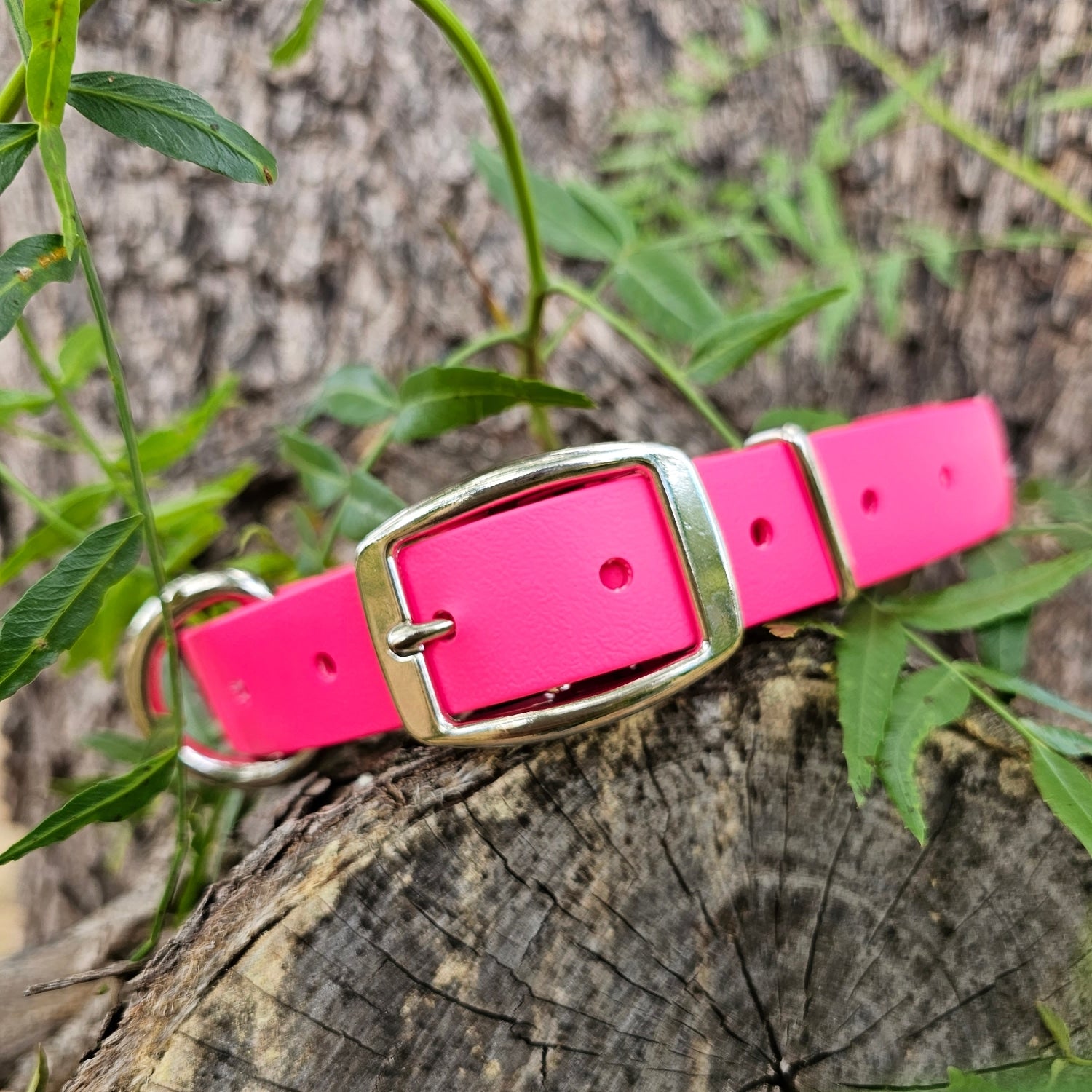 Working dog style flat collar 1 Inch Width
