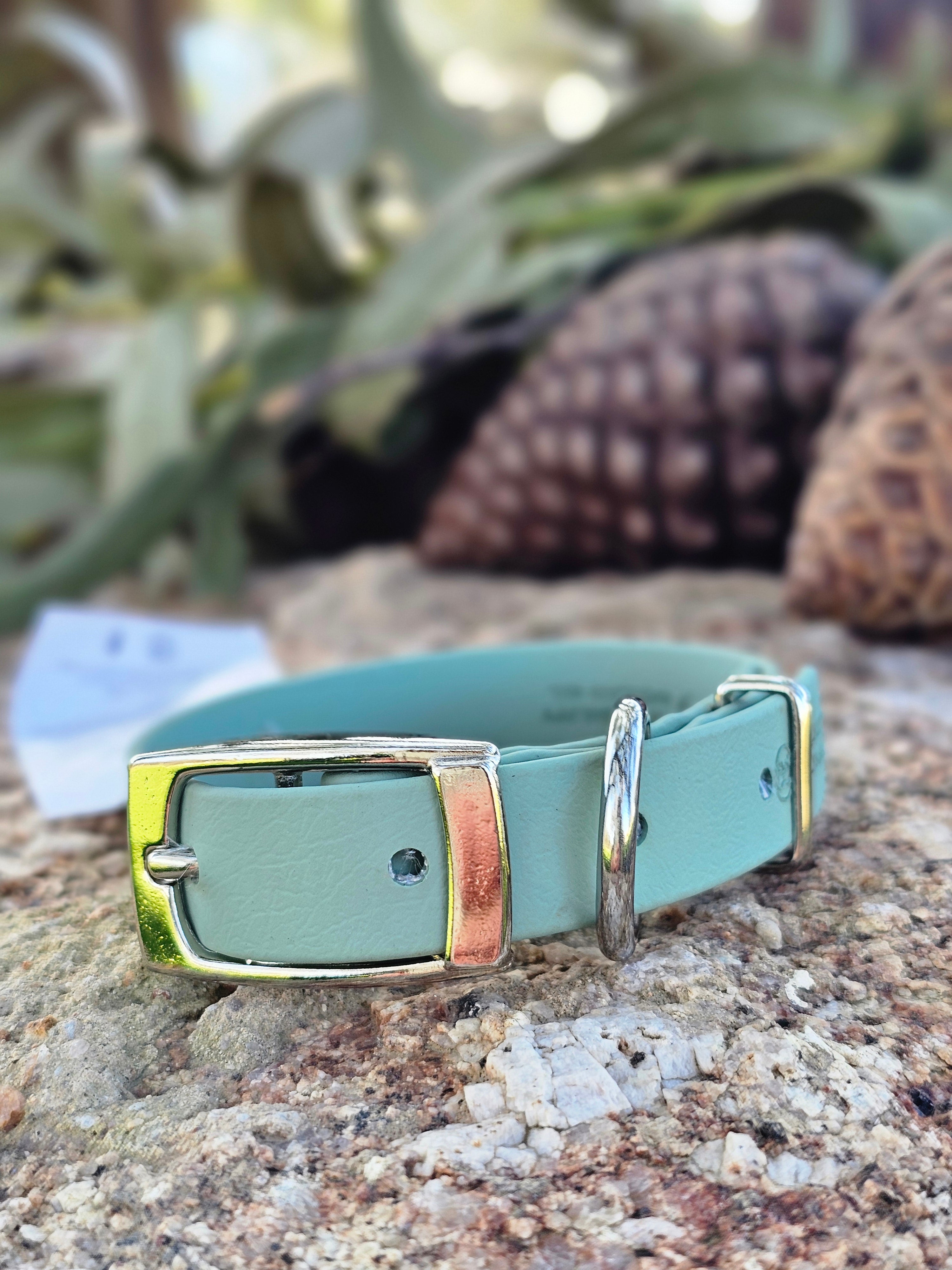 Puppy & Small Dog Collar