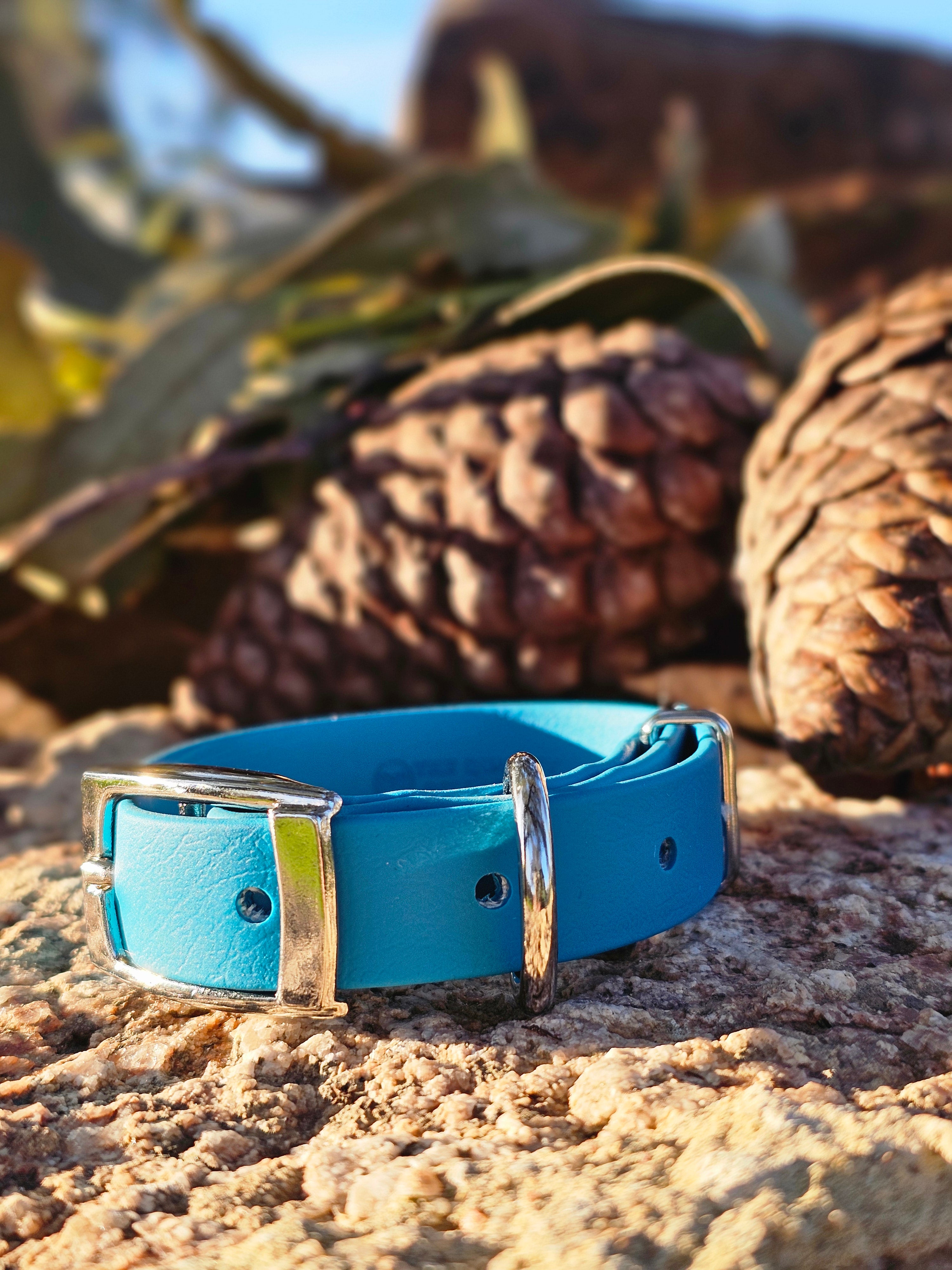 Puppy & Small Dog Collar