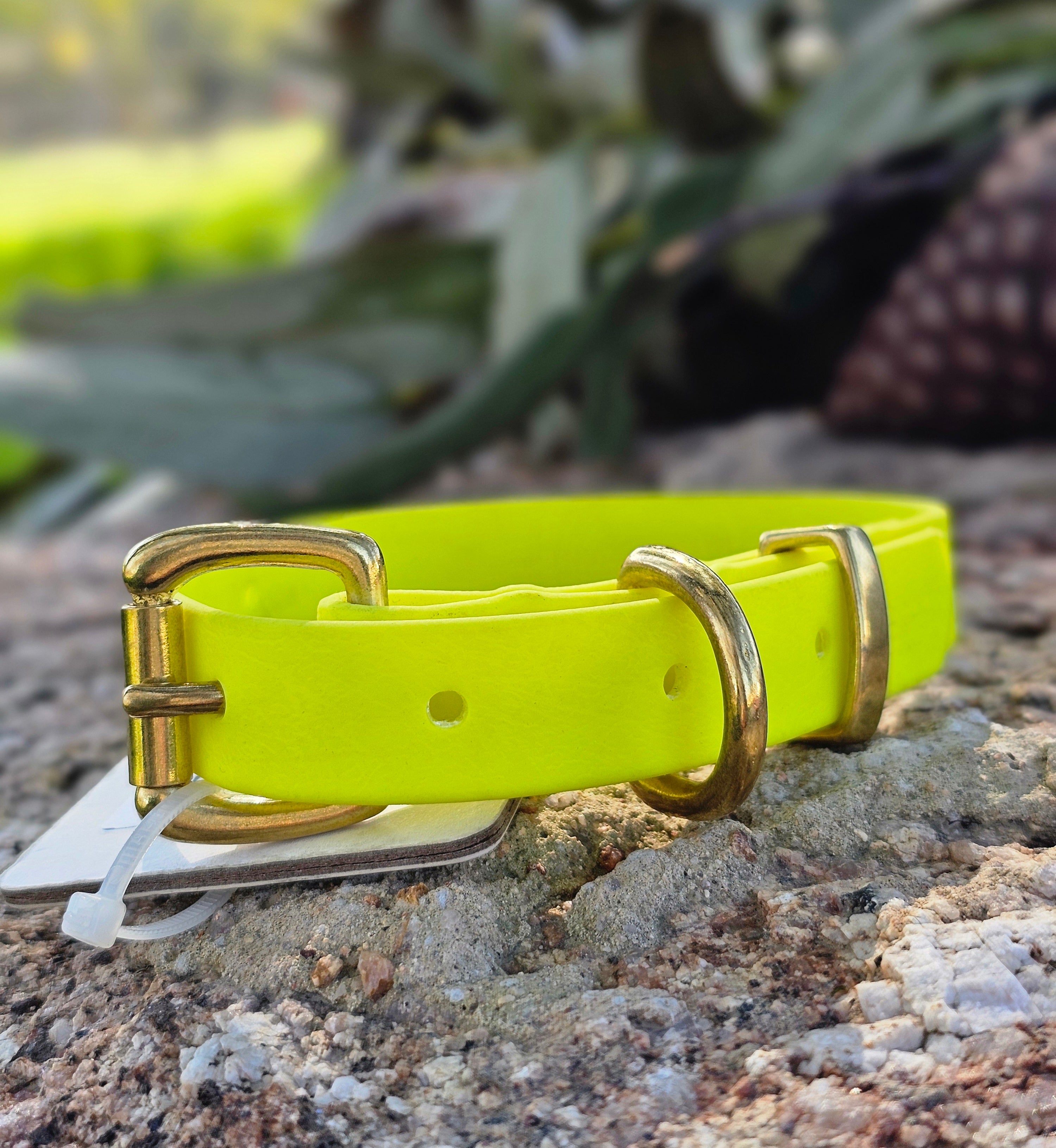 Puppy & Small Dog Collar