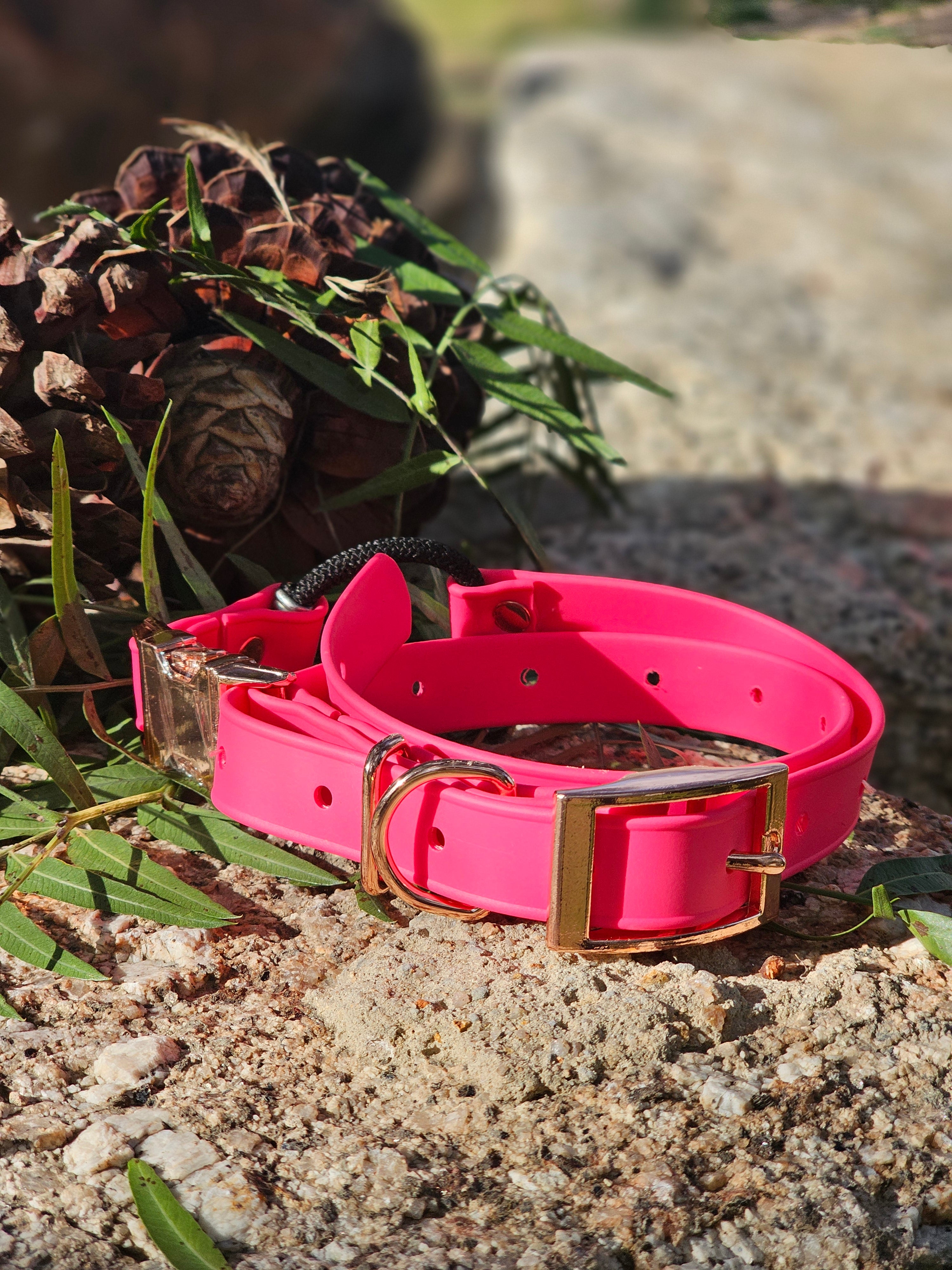 Ecollar quick release bungee strap