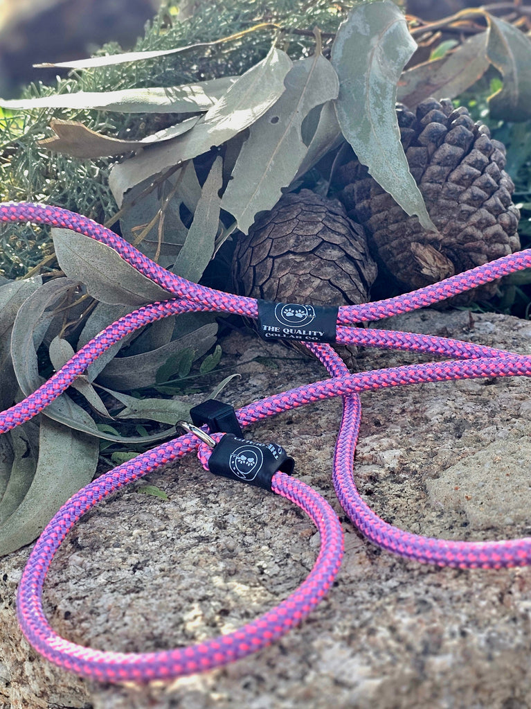 Spring '23 Colour Range Slip Leash – The Quality Collar Co.