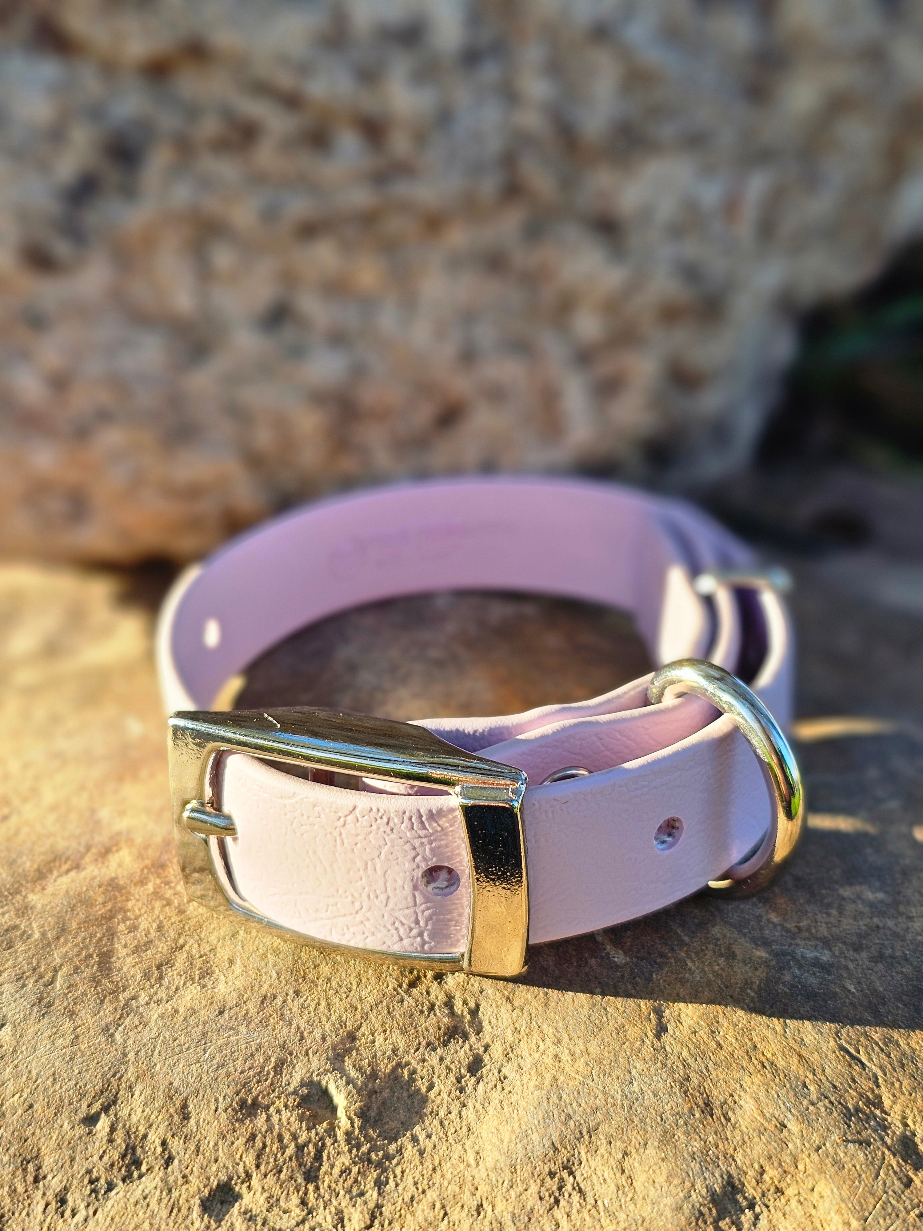 Puppy & Small Dog Collar