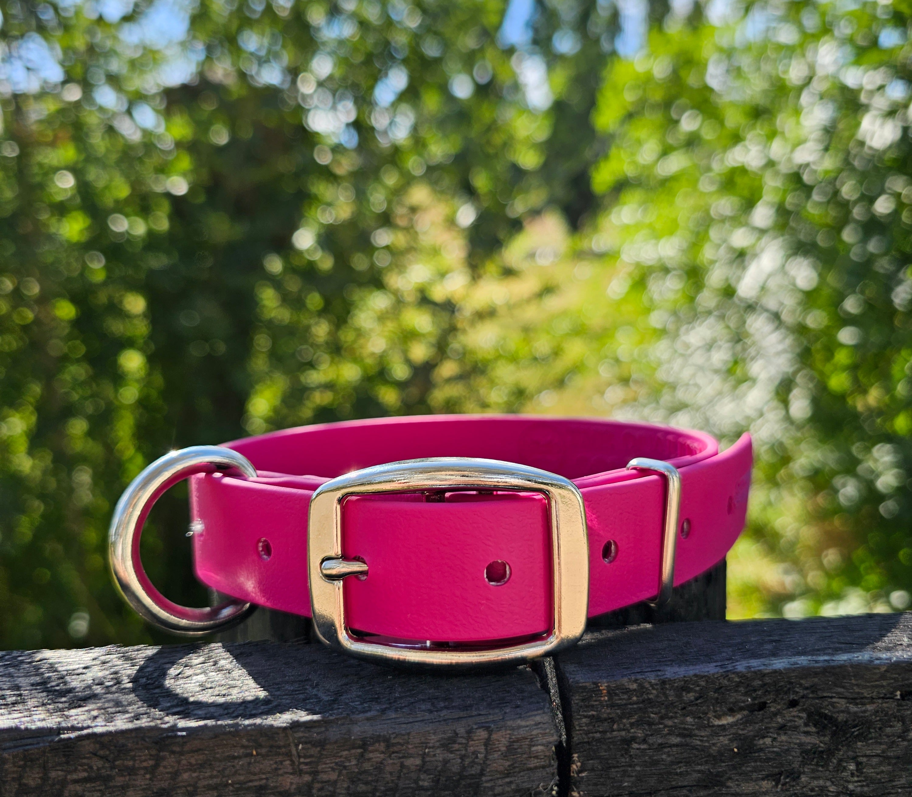 Working dog style flat collar 1 Inch Width