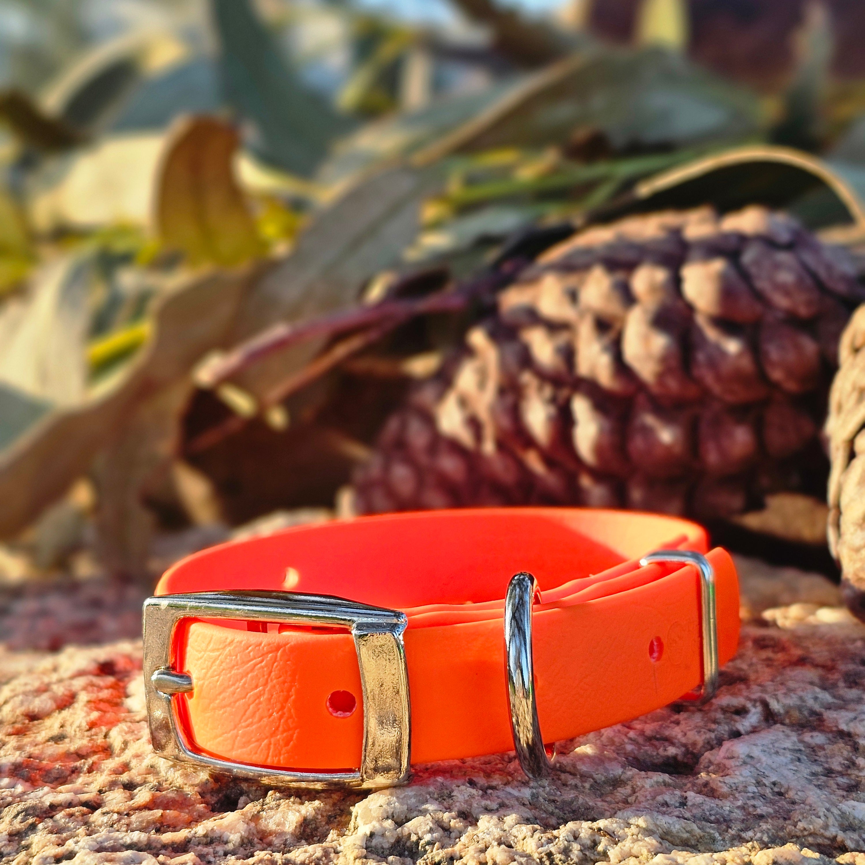 Puppy & Small Dog Collar