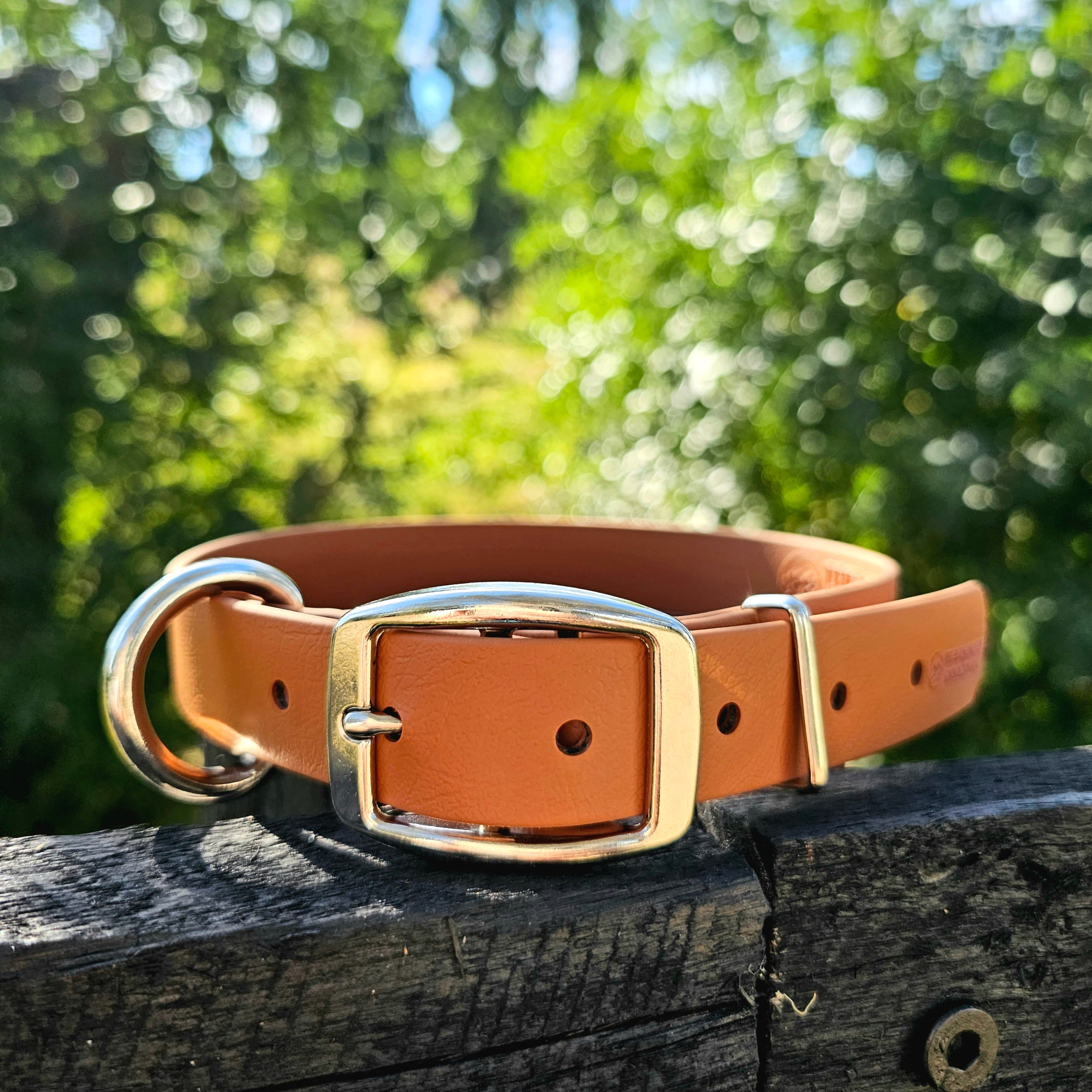 Working dog style flat collar 1 Inch Width