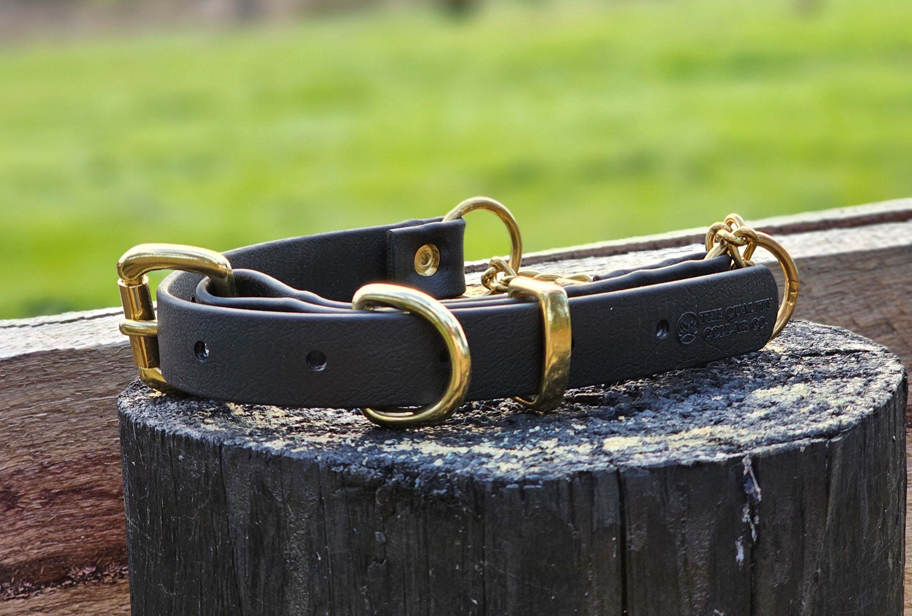 Martingale Collar with Brass Hardware