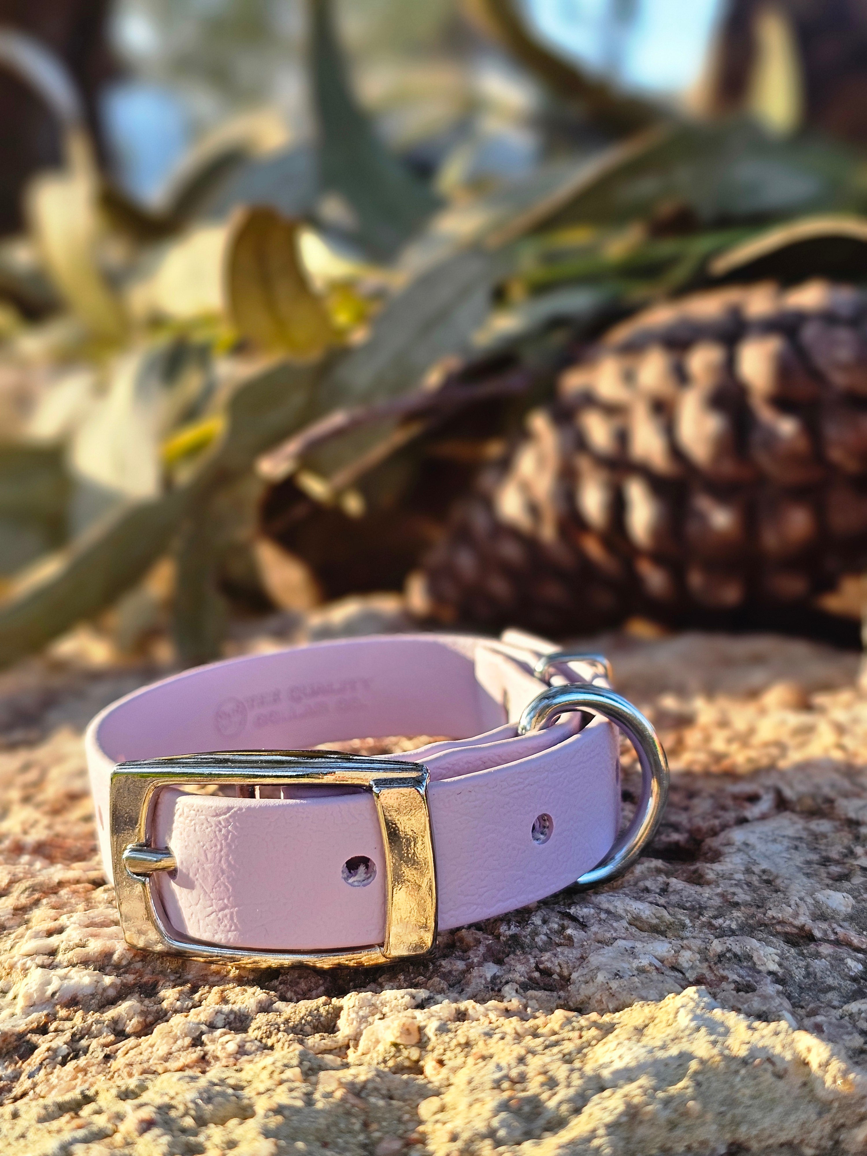 Puppy & Small Dog Collar