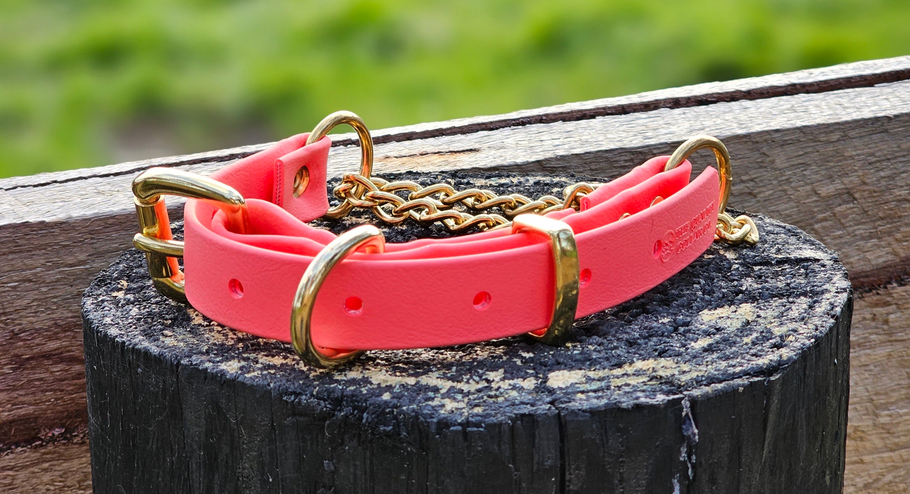Martingale Collar with Brass Hardware