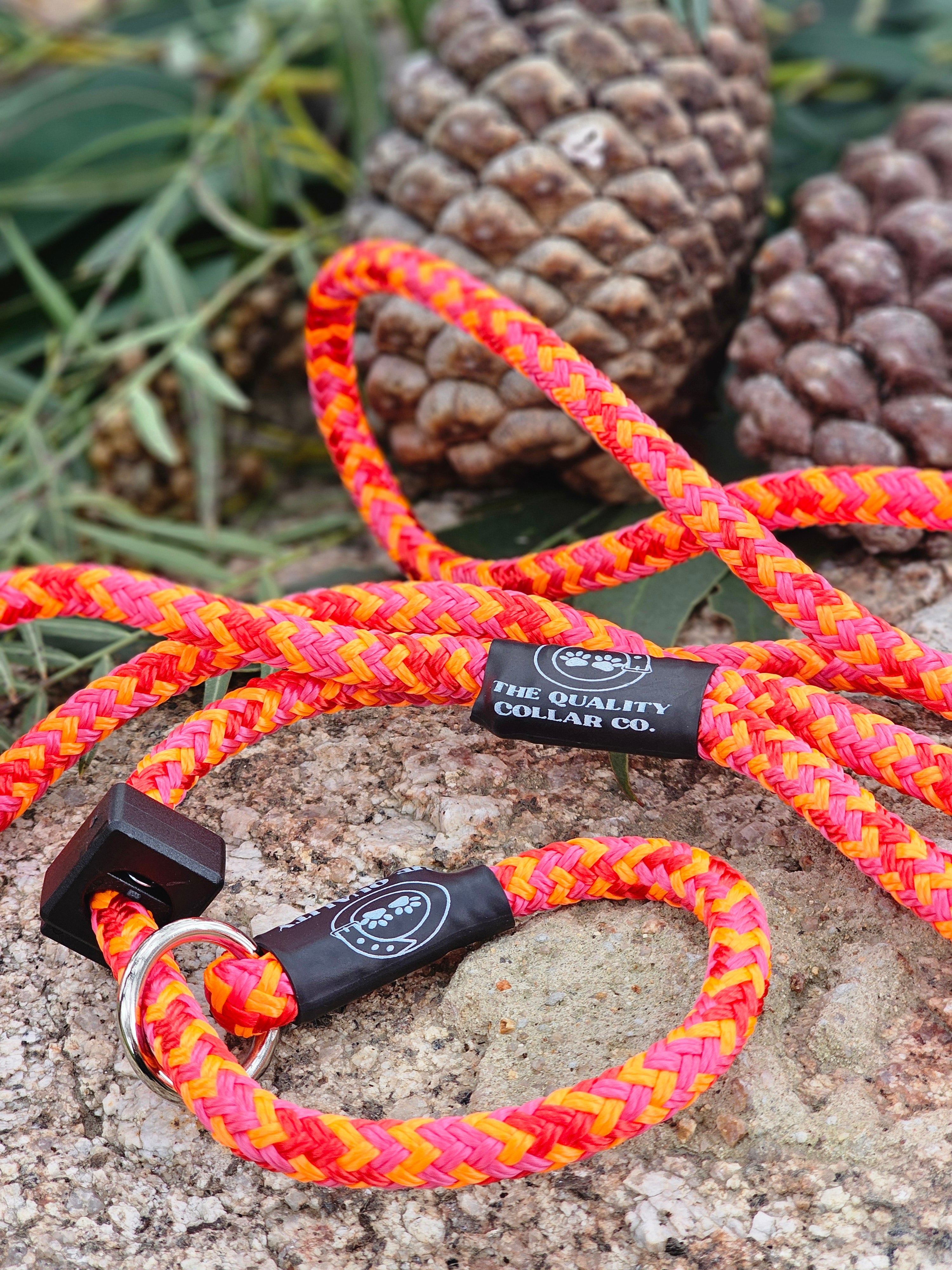 Spring '23 Colour Range Slip Leash