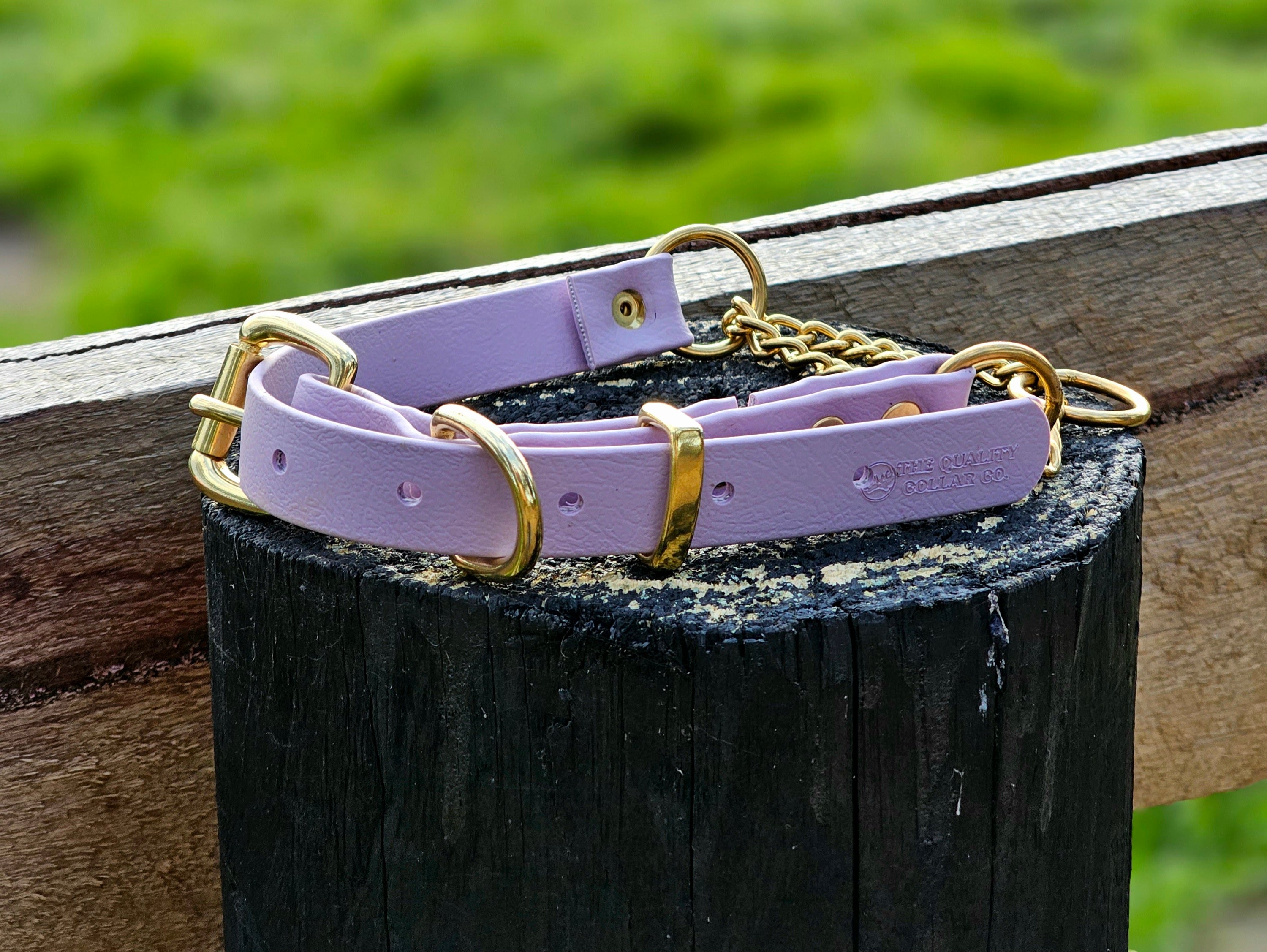 Martingale Collar with Brass Hardware
