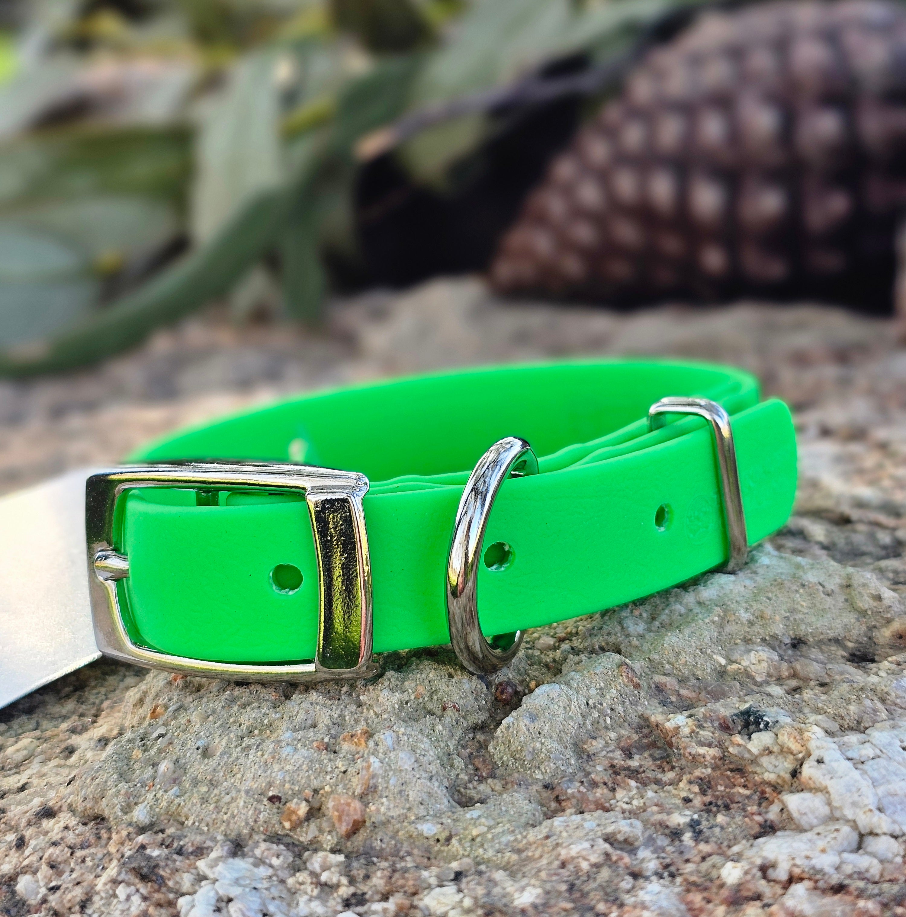 Puppy & Small Dog Collar