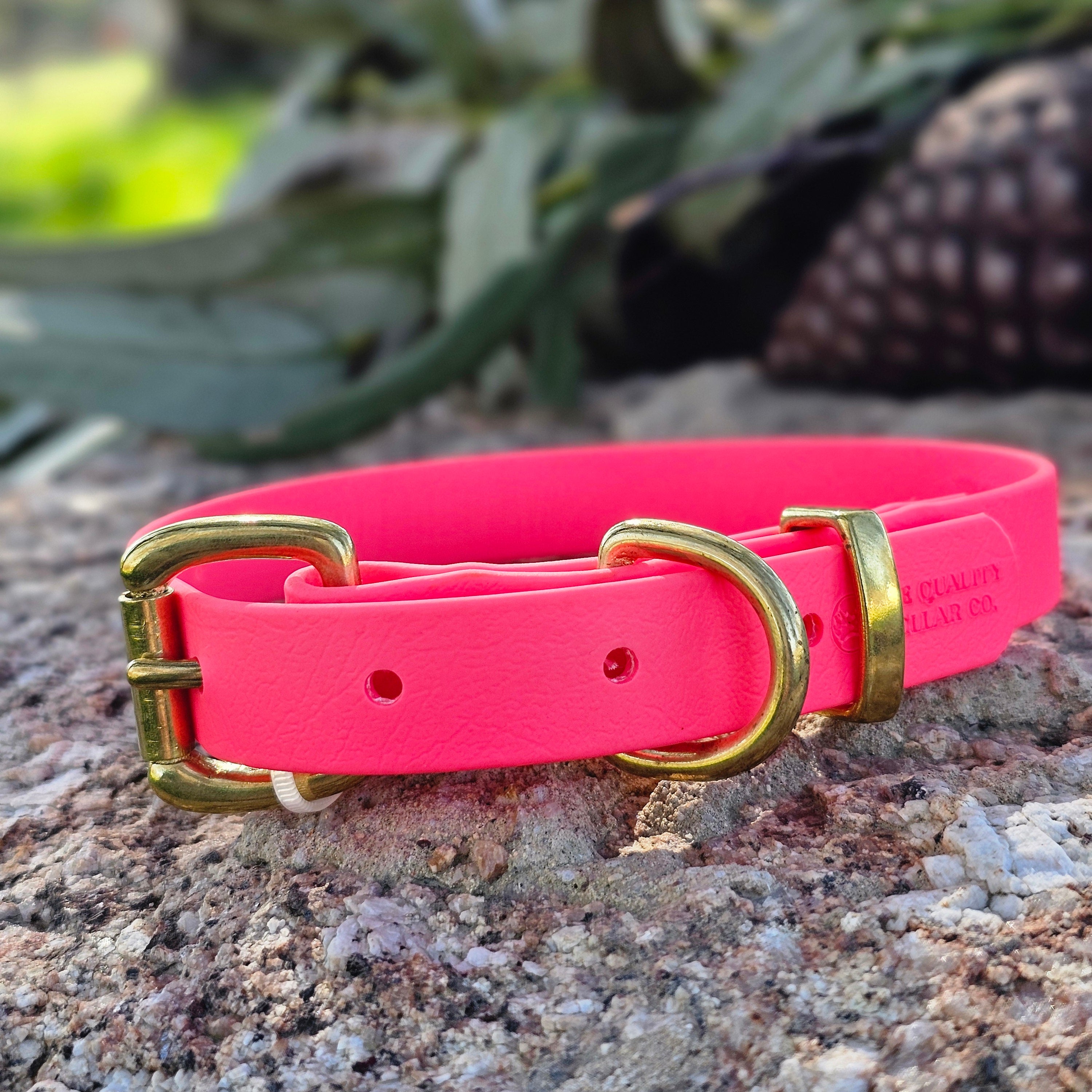 Puppy & Small Dog Collar