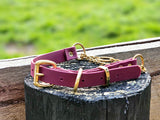 Martingale Collar with Brass Hardware