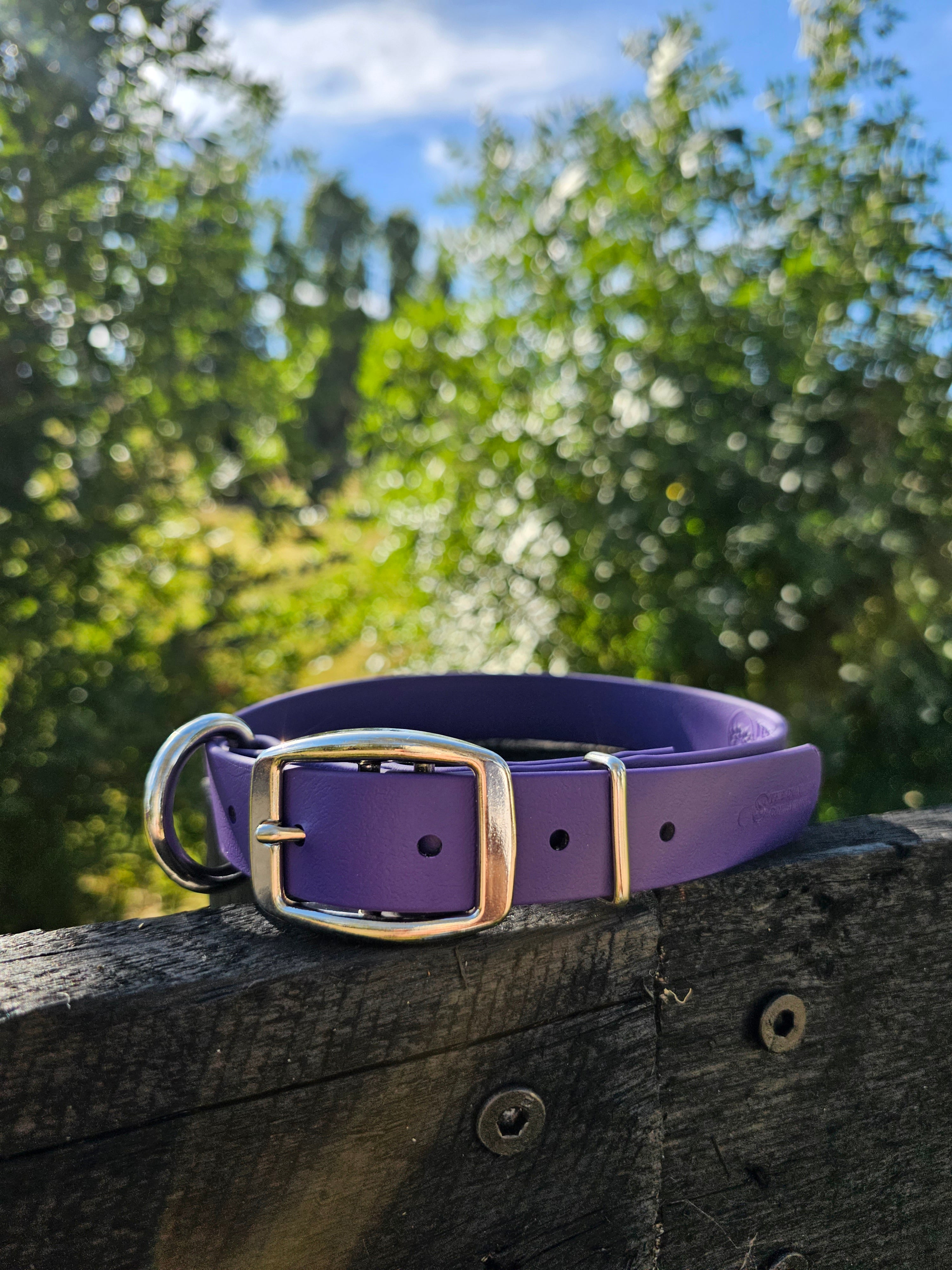 Working dog style flat collar 1 Inch Width