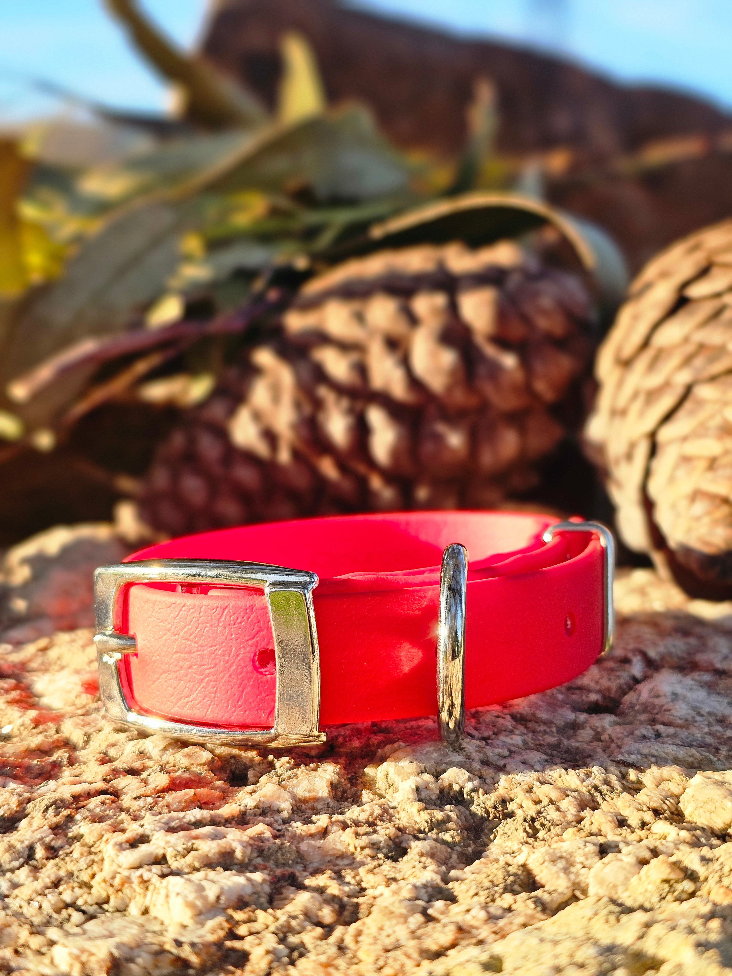 Puppy & Small Dog Collar
