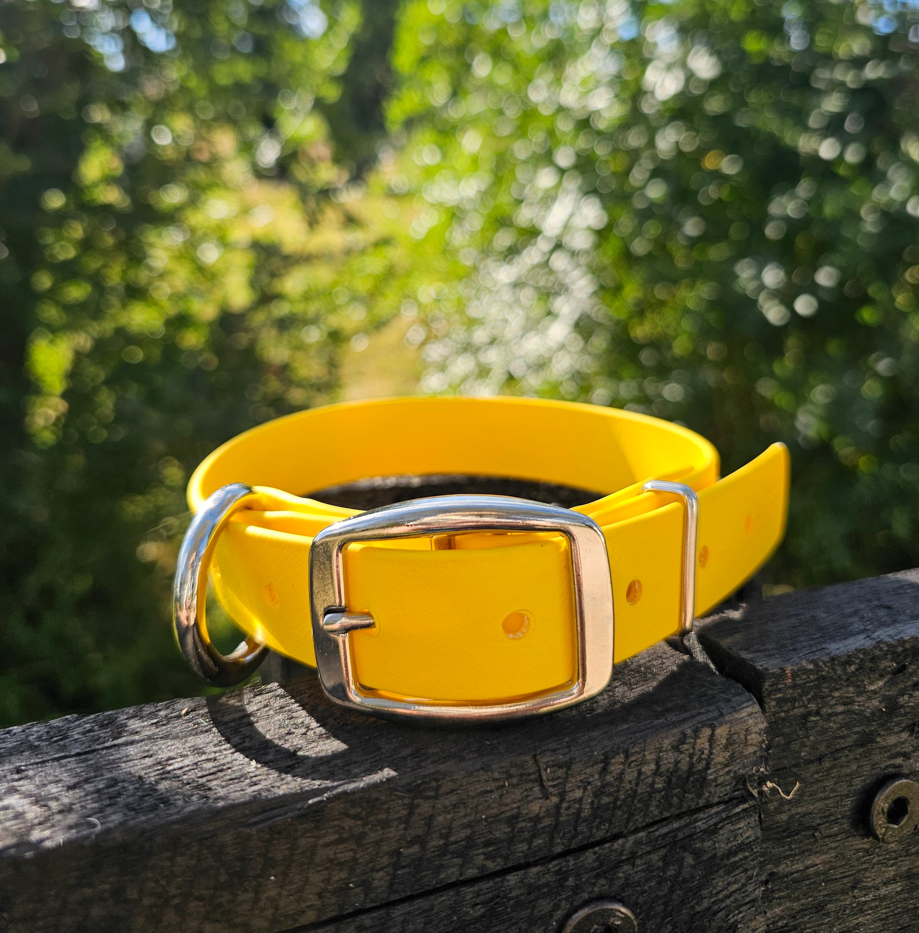 Working dog style flat collar 1 Inch Width