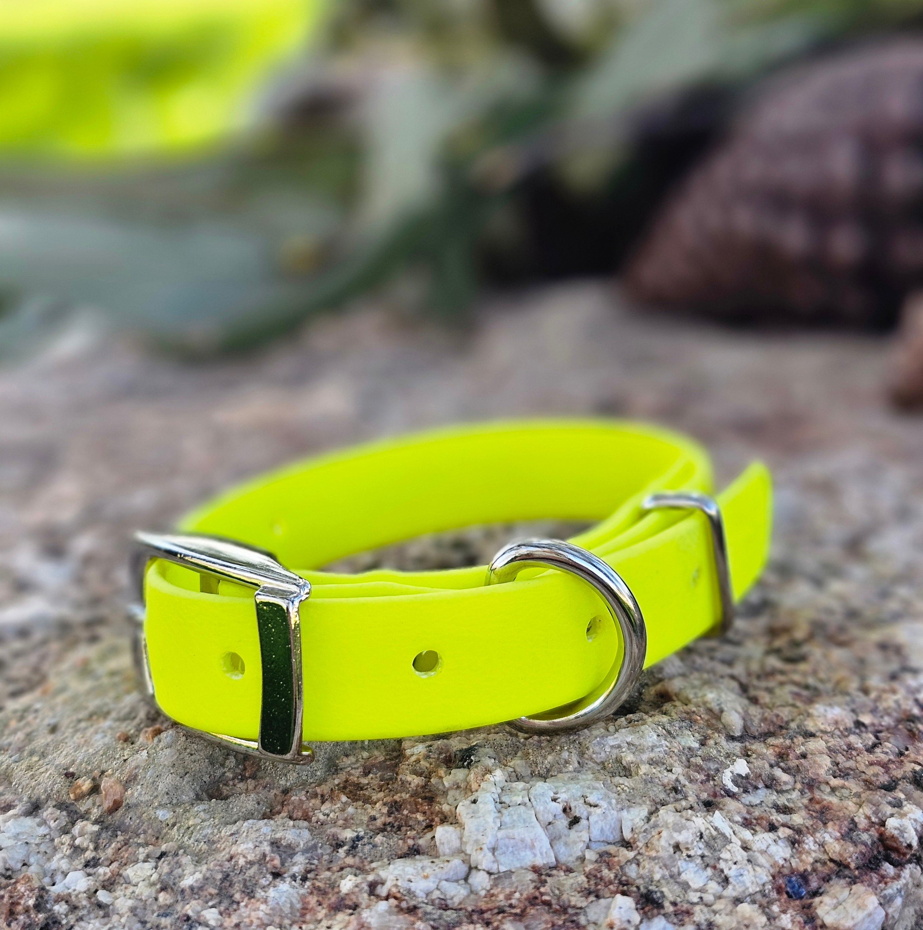 Puppy & Small Dog Collar