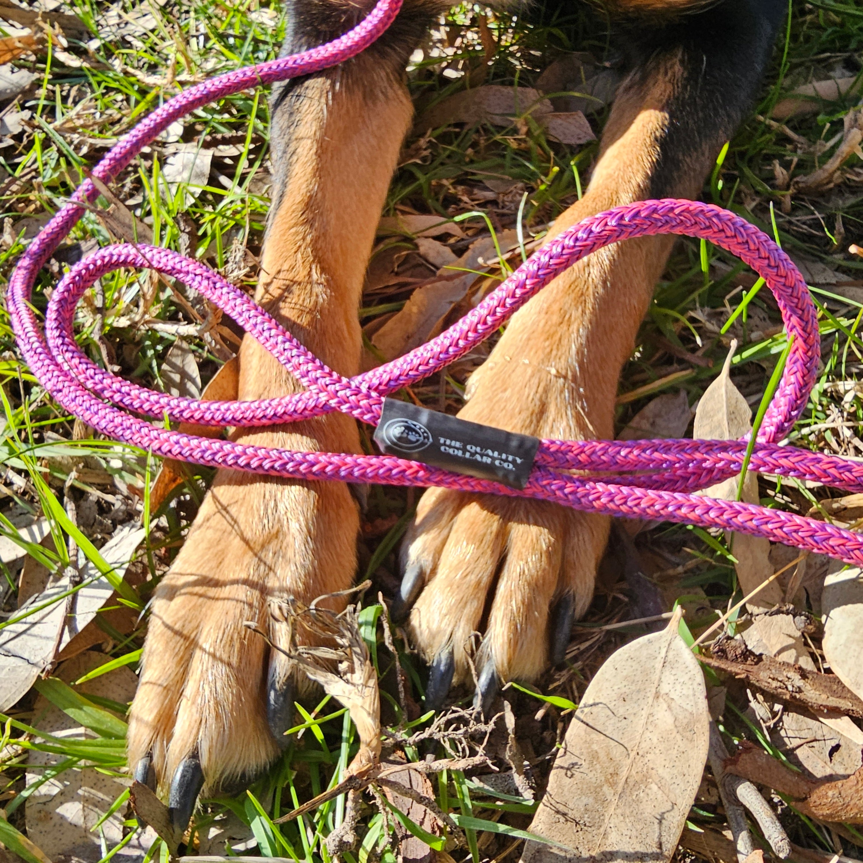 Spring '23 Colour Range Slip Leash
