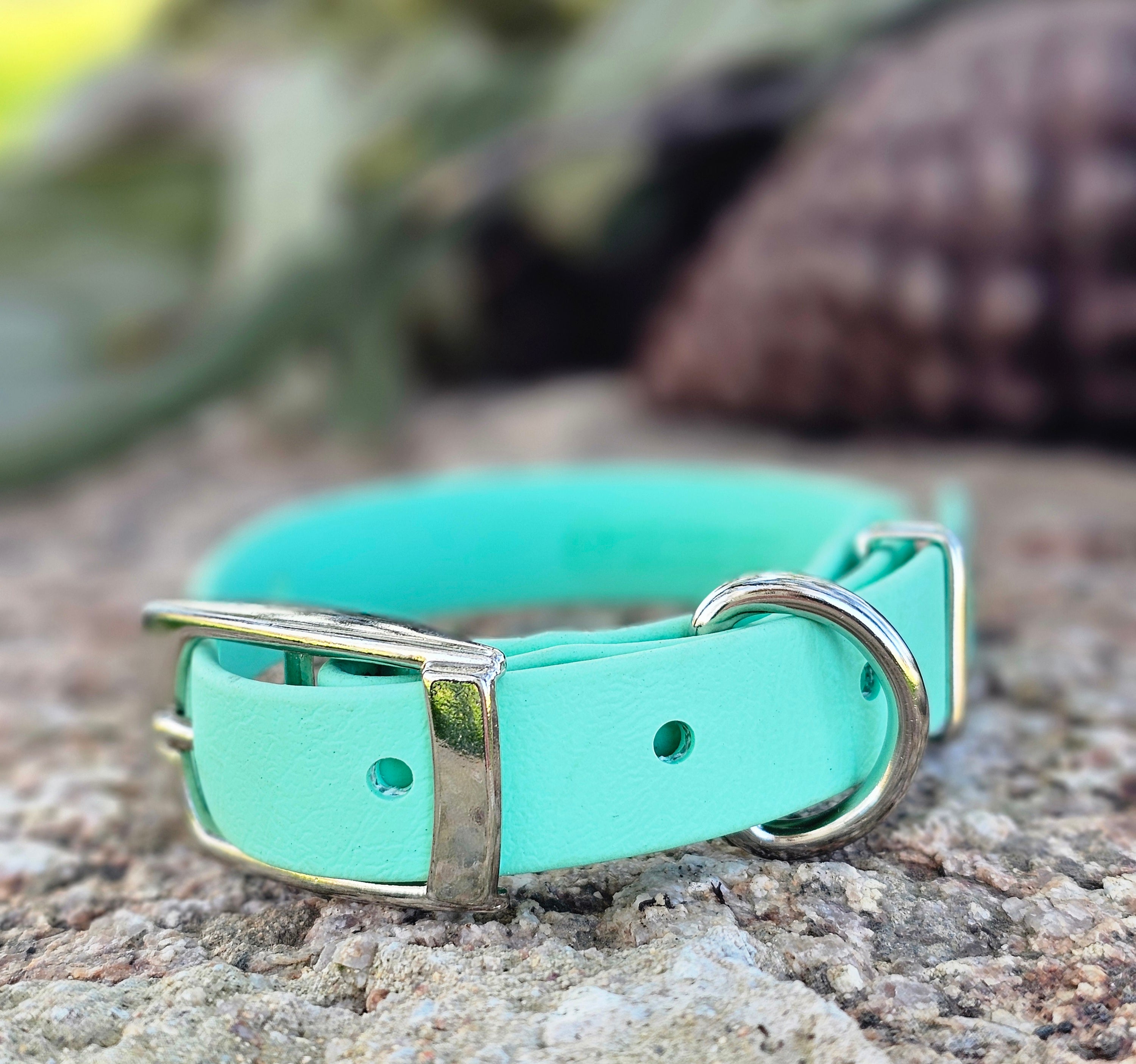 Puppy & Small Dog Collar