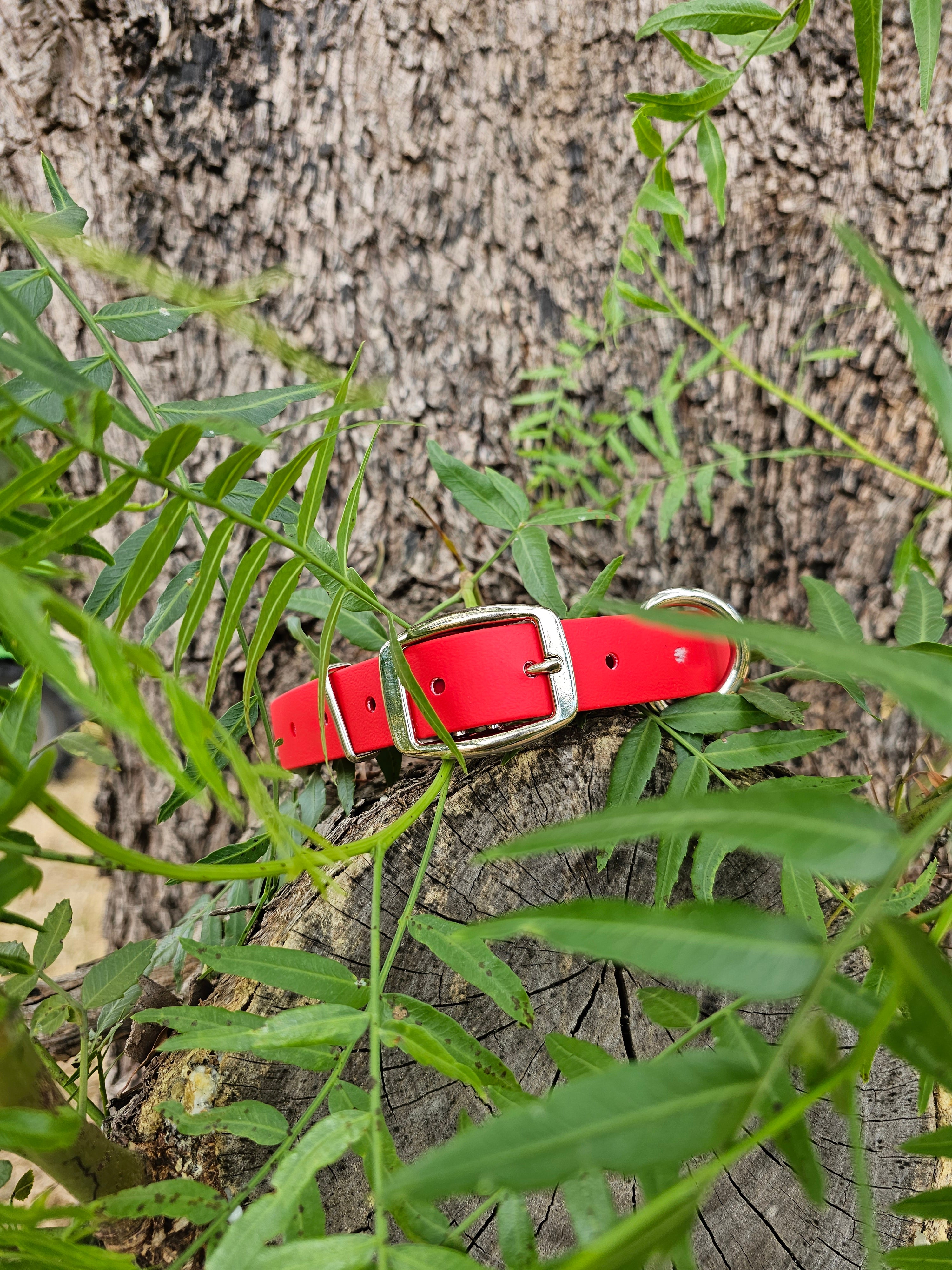 Working dog style flat collar 1 Inch Width