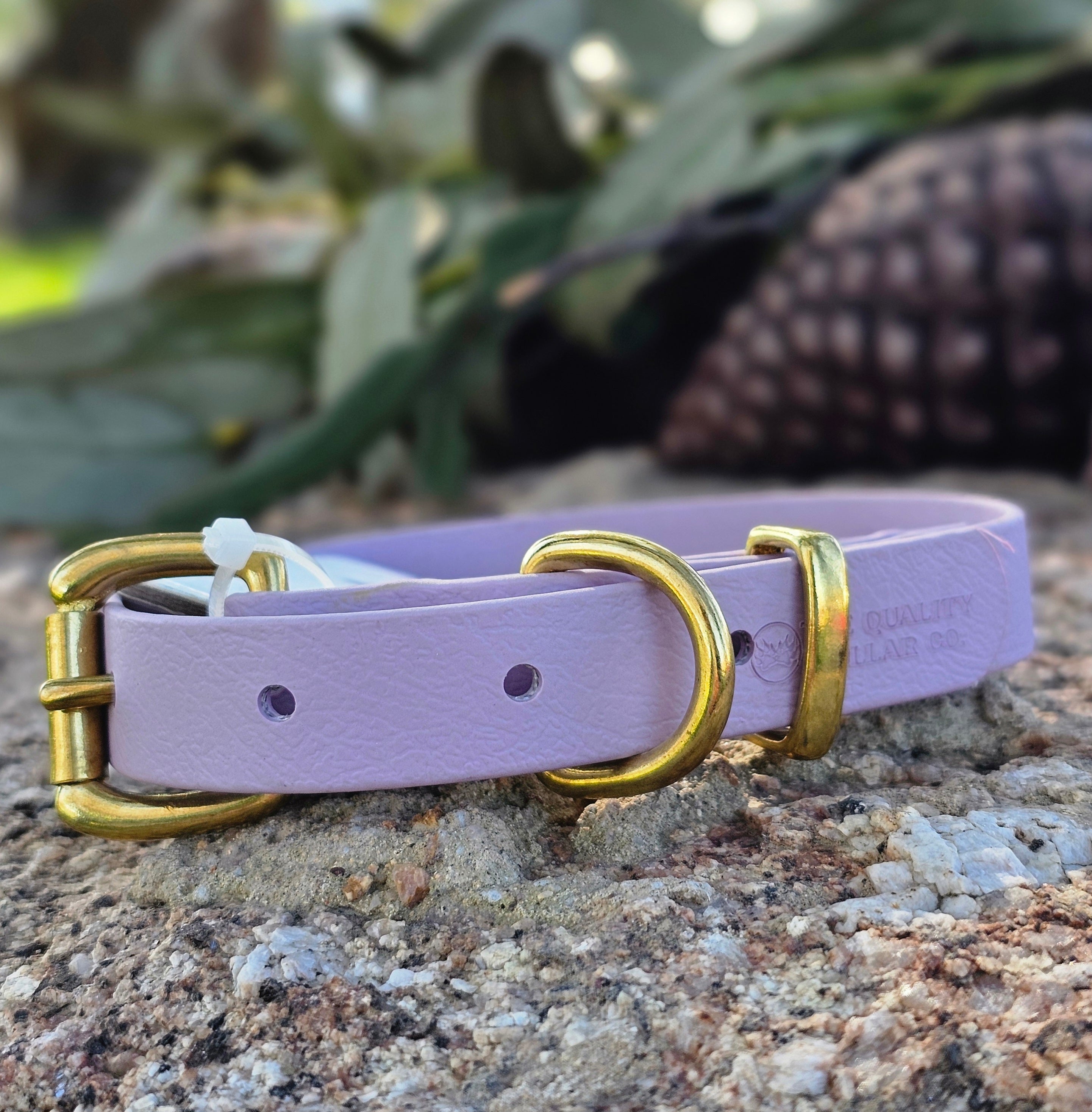 Puppy & Small Dog Collar
