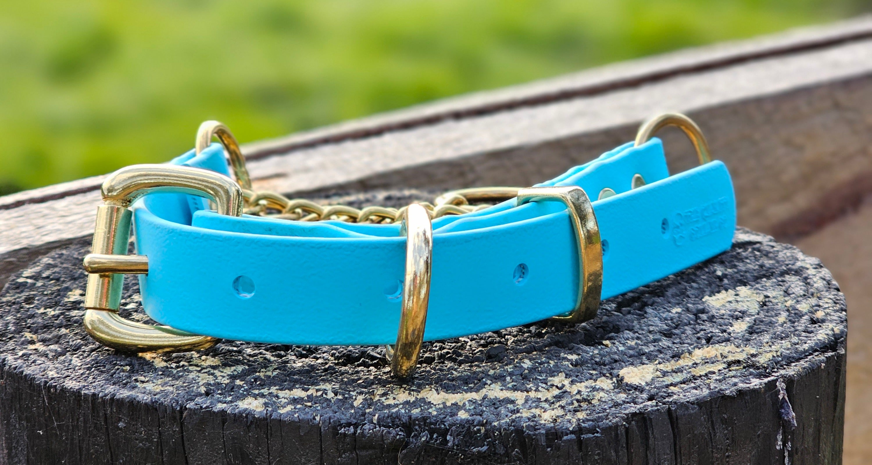 Martingale Collar with Brass Hardware