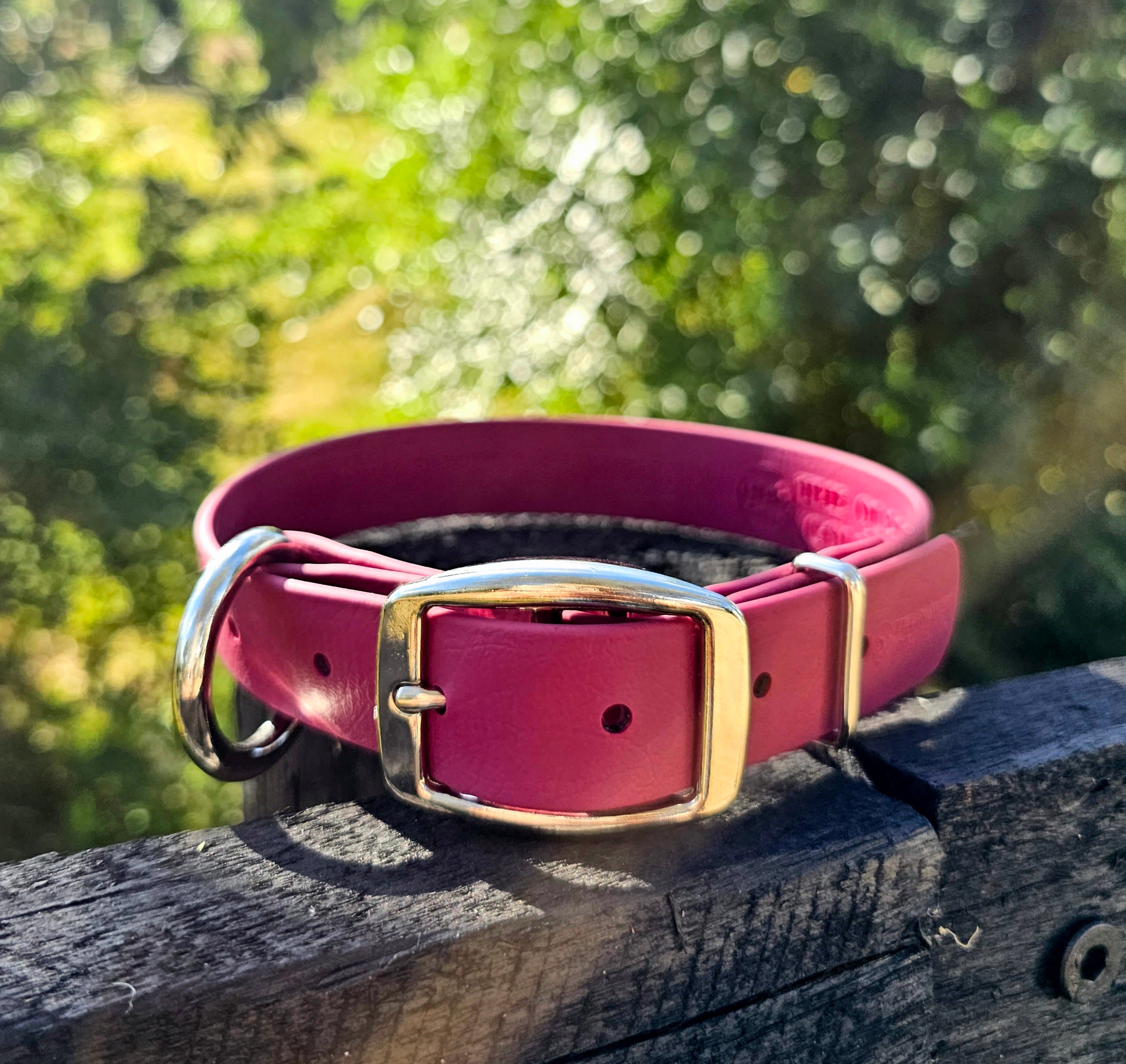Working dog style flat collar 1 Inch Width