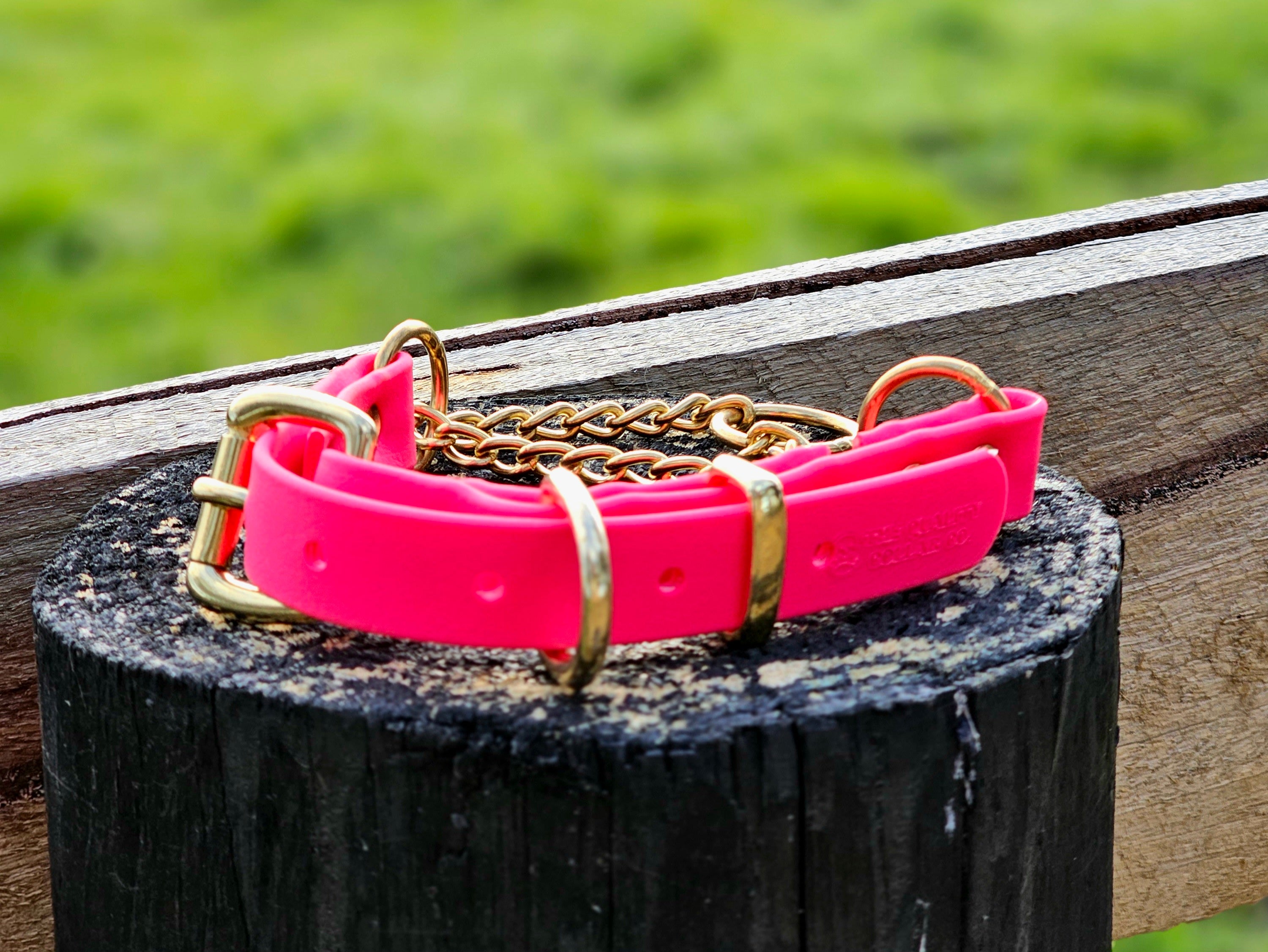Martingale Collar with Brass Hardware